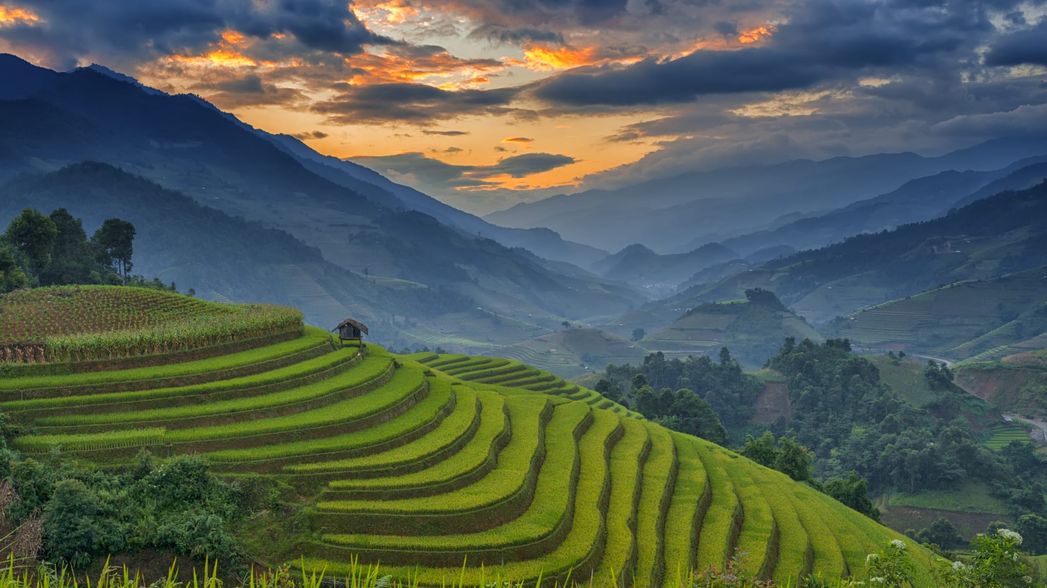 Amazing Rice terraces at Mu Cang Chai, Vietnam