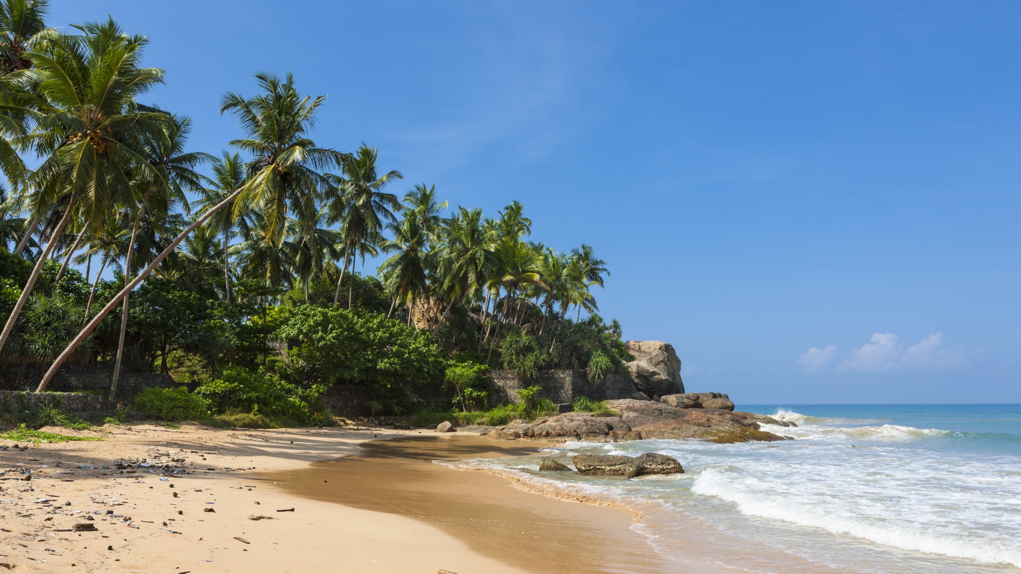 Sri Lanka Urlaub 2024/2025 • Günstig buchen bei HolidayCheck