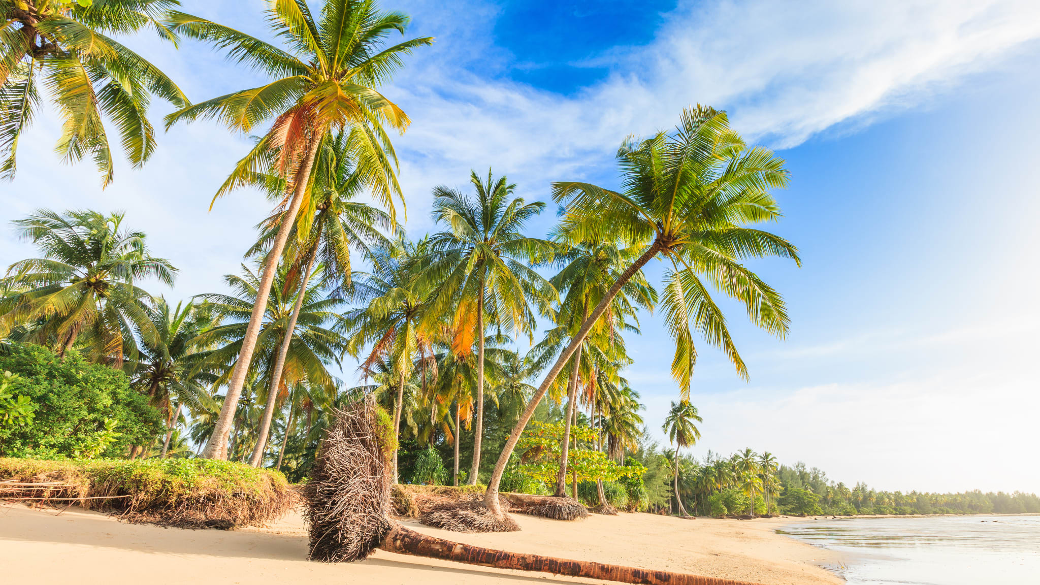 Strand von Bangsak in blauer Himmel und Palmen