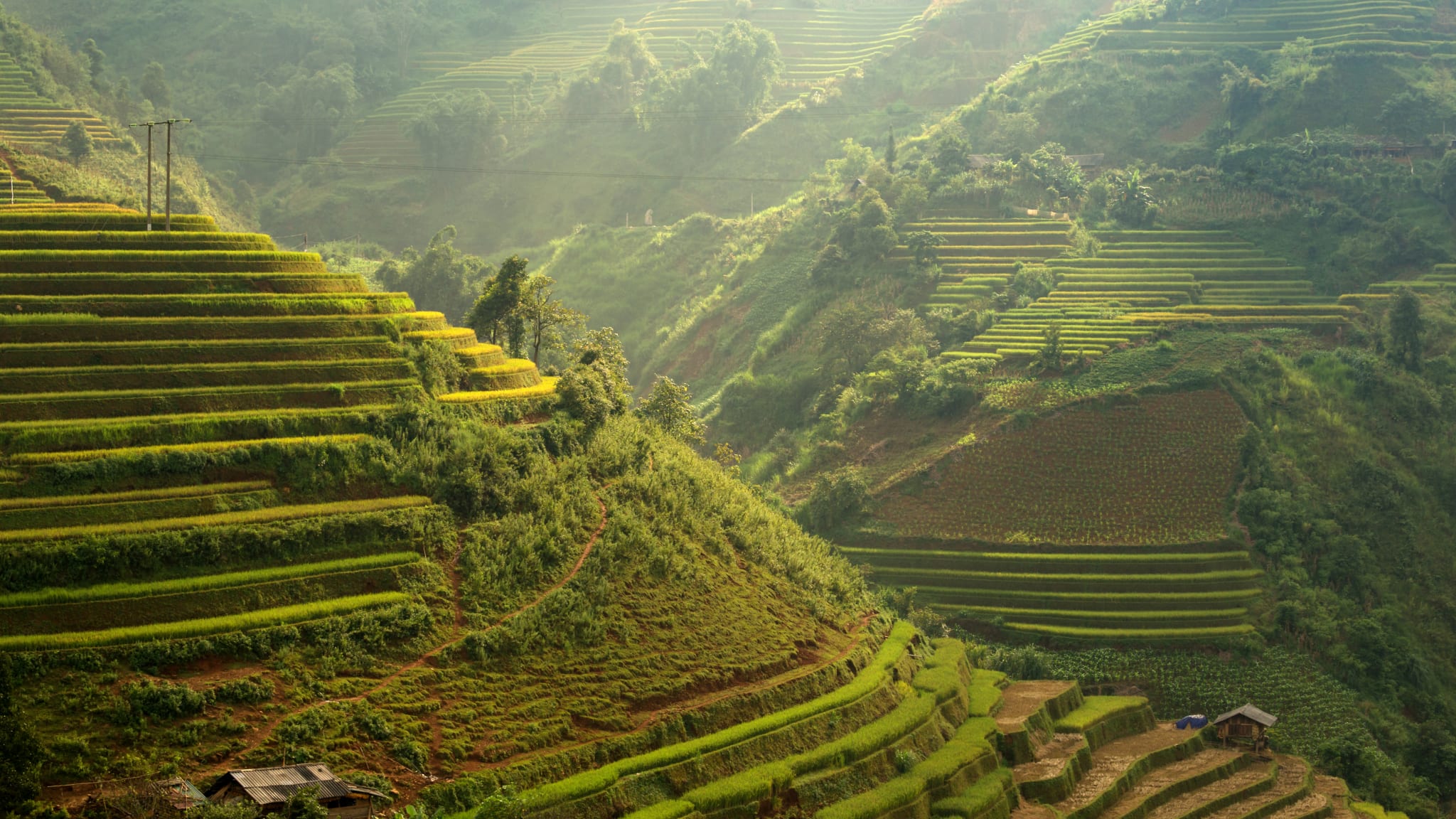 Electricity of Vietnam
