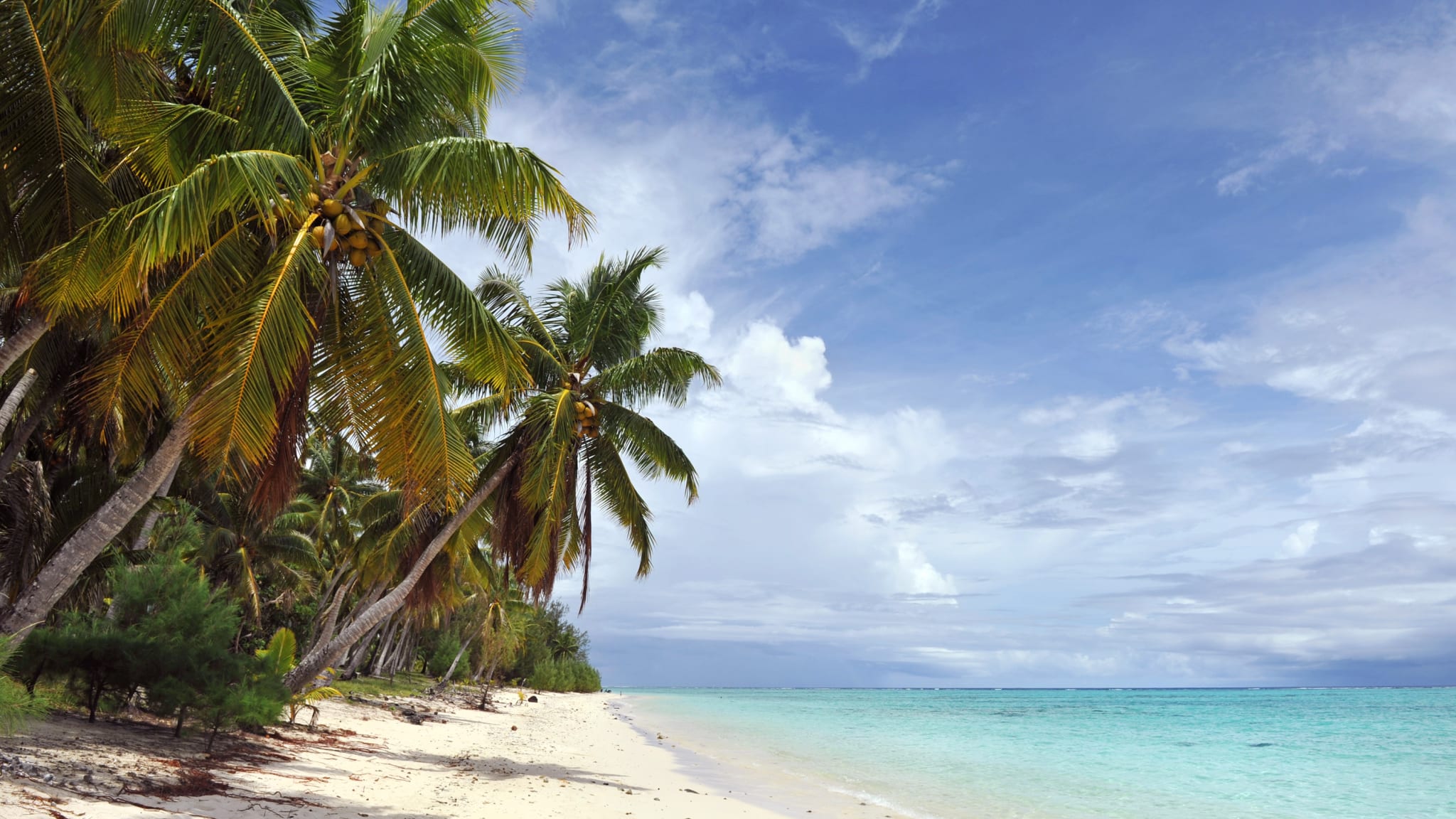 Paradise beach