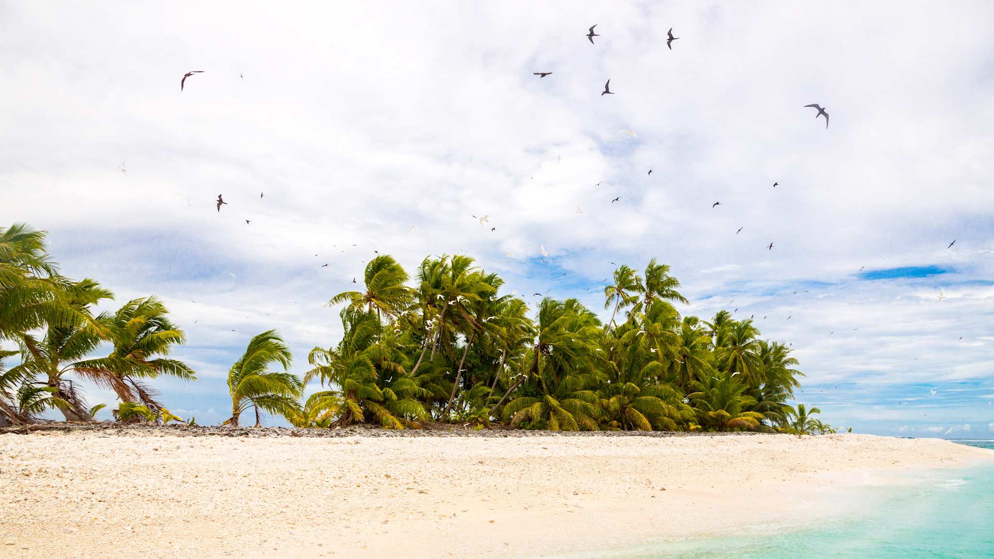 Strand Funafuti Atoll, Tuvalu