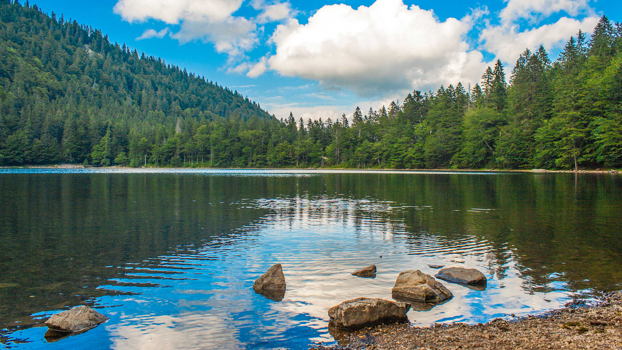Feldsee, Feldberg (Schwarzwald), Baden Württemberg