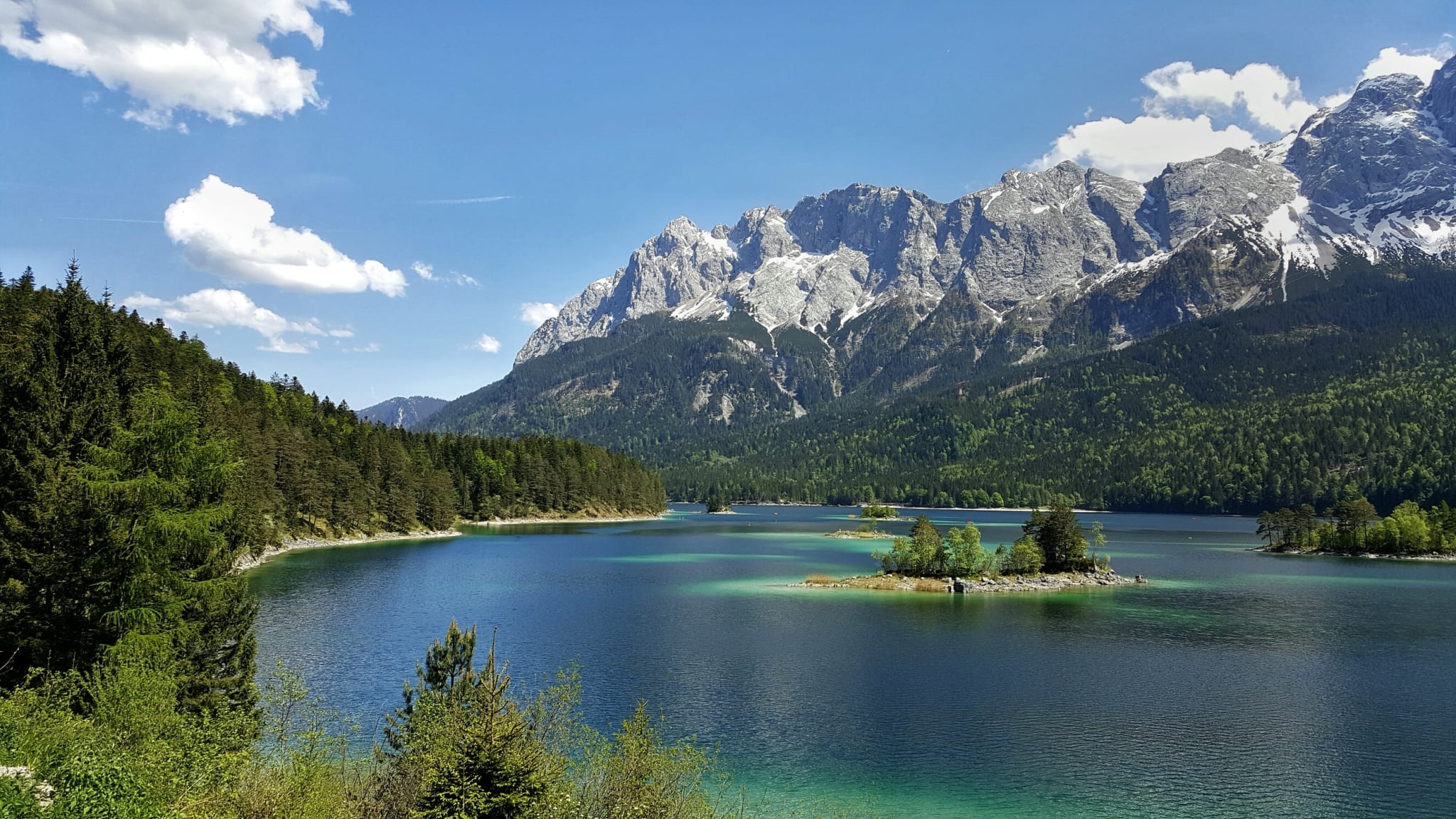 Scenic View Of Lake In Forest
