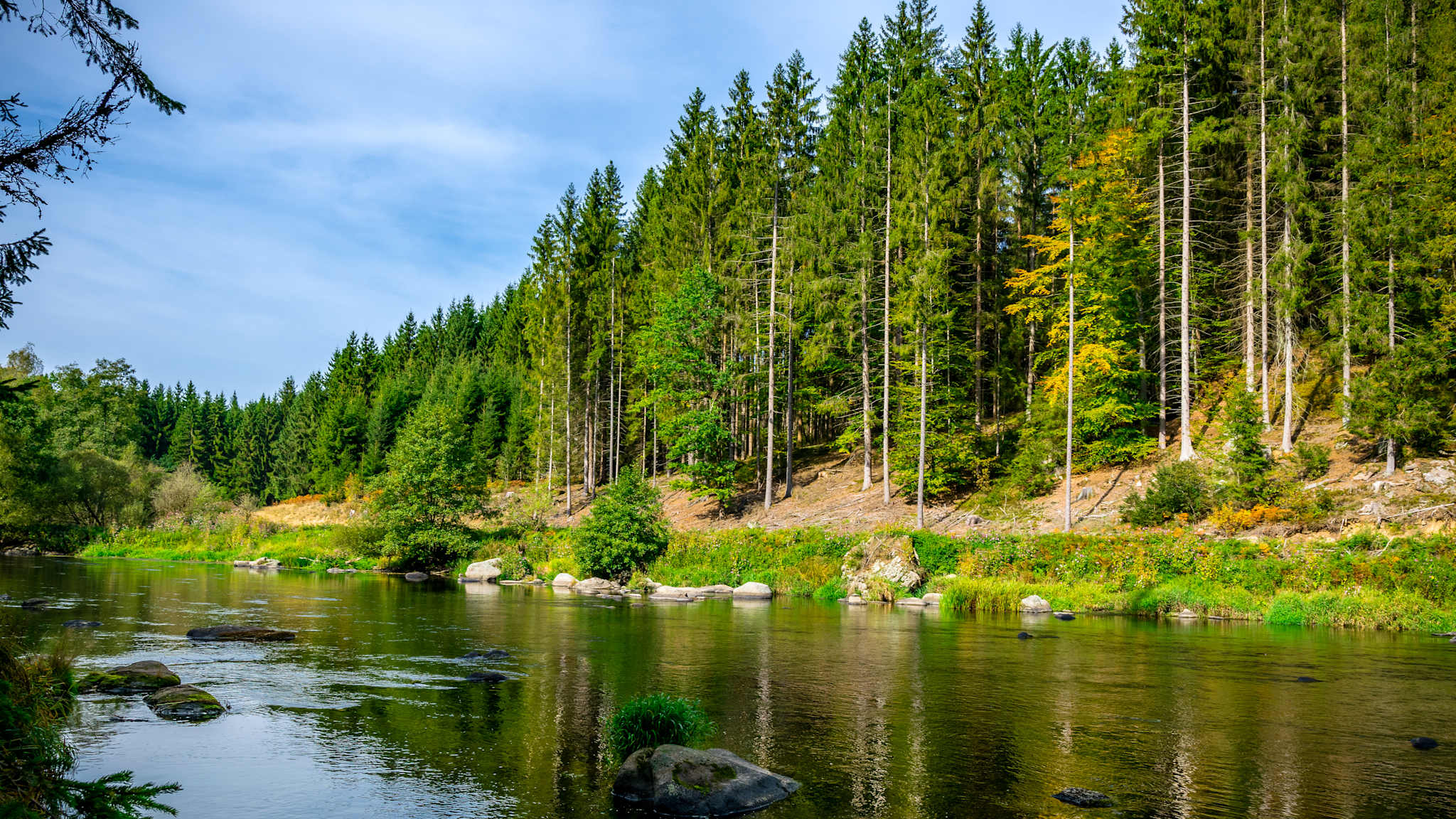 Natur pur am Flussufer im Bayerischen Wald