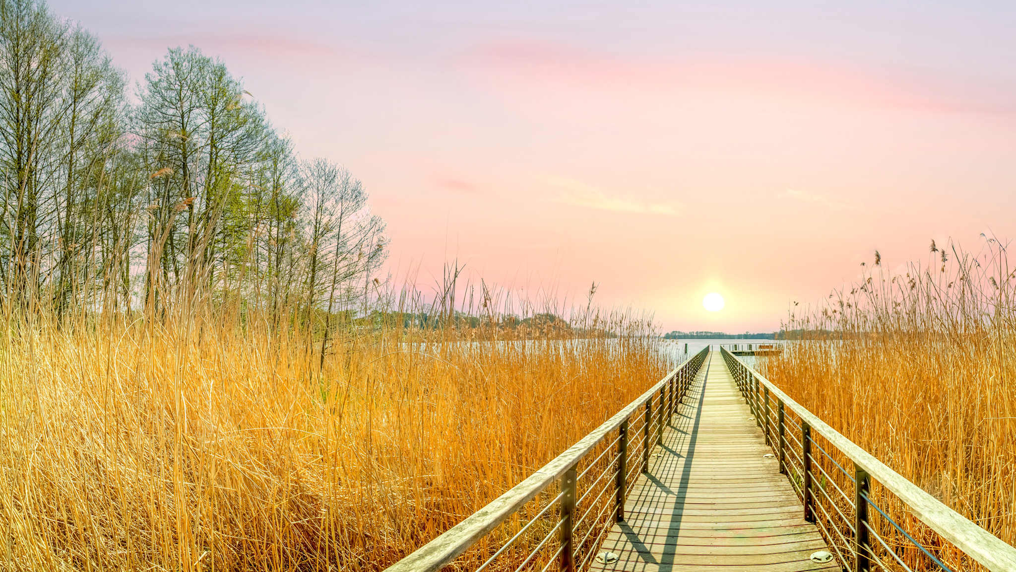 Blick auf den Scharmützelsee, Bad Saarow, Brandenburg © shutterstock_2766683135