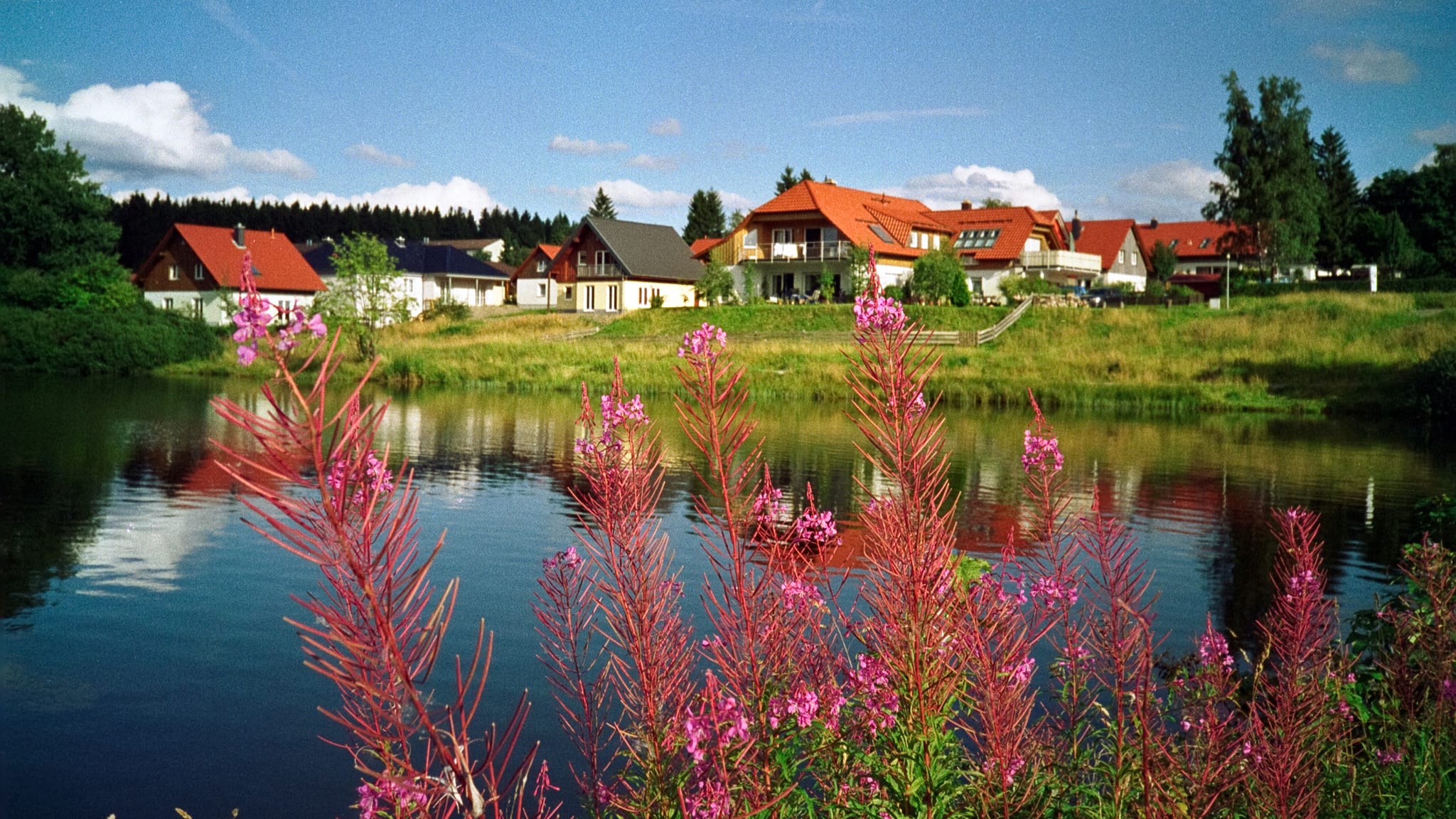 Teich, Clausthal-Zellerfeld, Deutschland