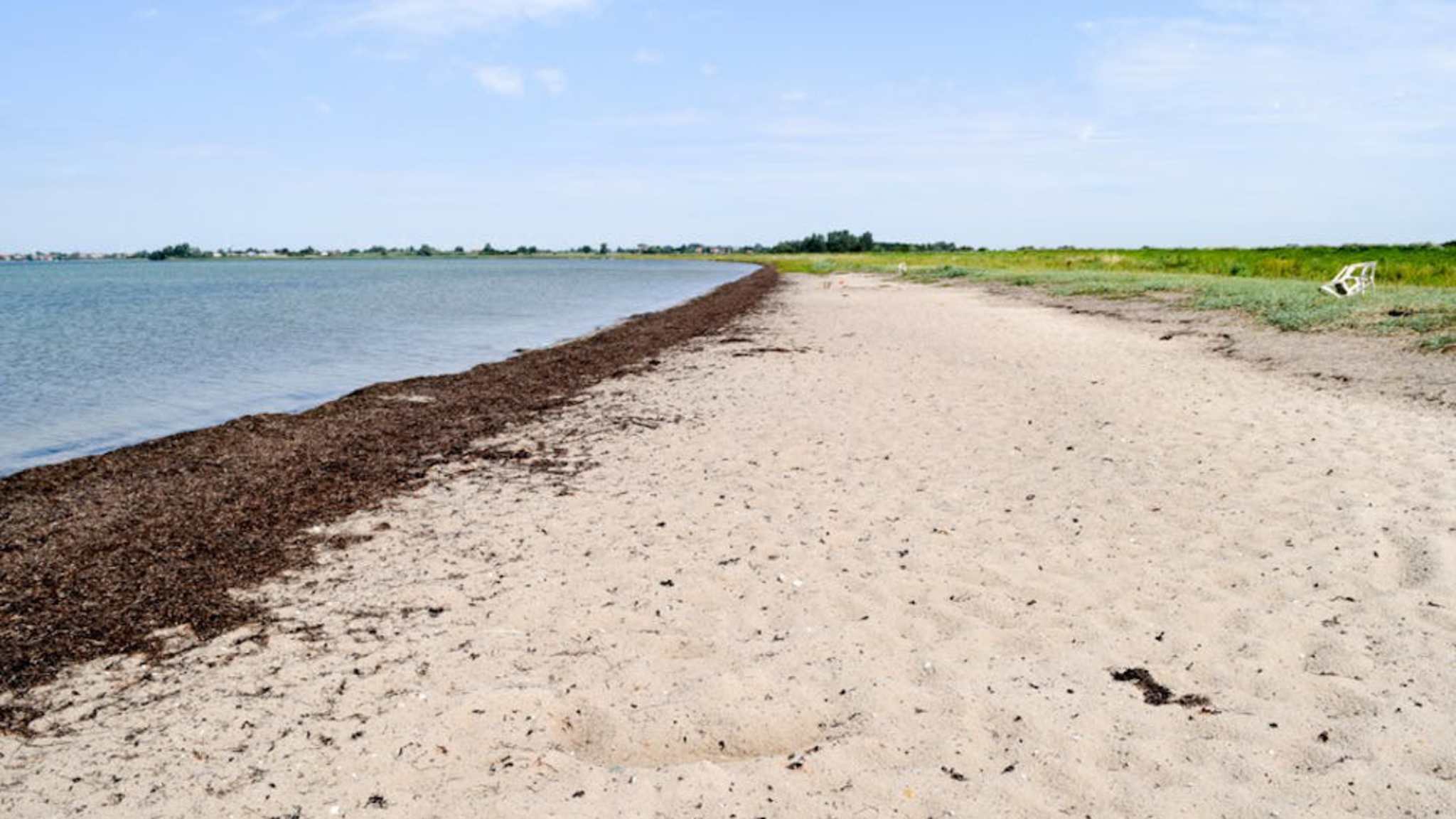 Naturstrand Gold auf Fehmarn, Deutschland