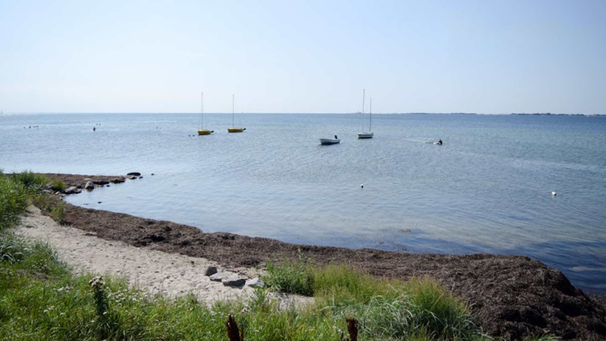 Naturstrand Gold auf Fehmarn, Deutschland