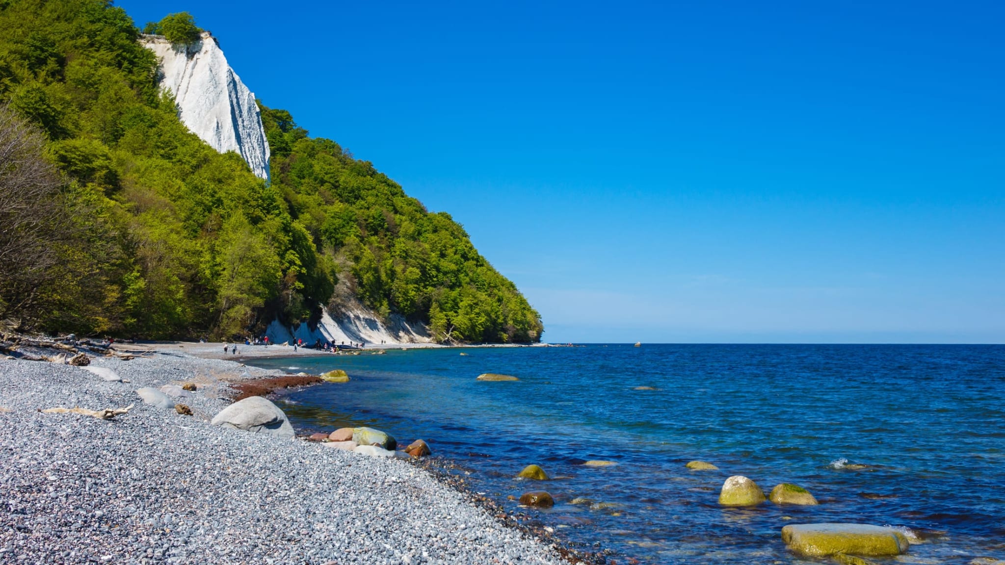 Kalkfelsen im Nationalpark Jasmund auf Rügen, Deutschland