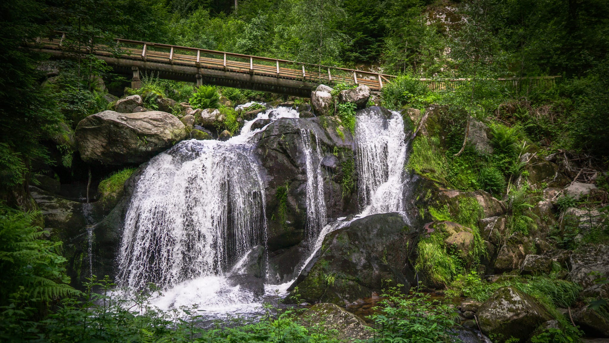 Wasserfall, Triberg, Schwarzwald, Deutschland