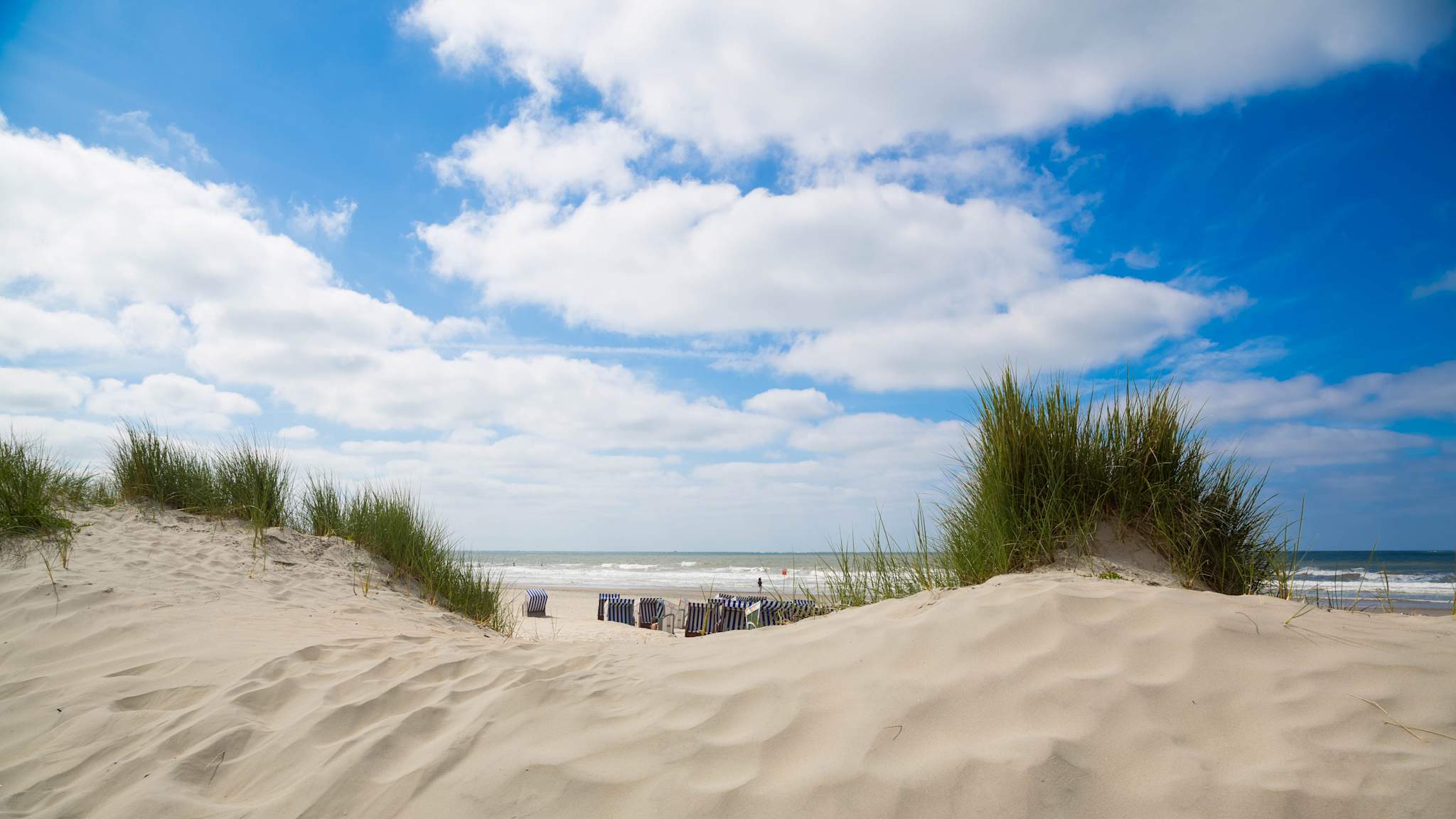 Sand Dunes on Norderney Island, Germany