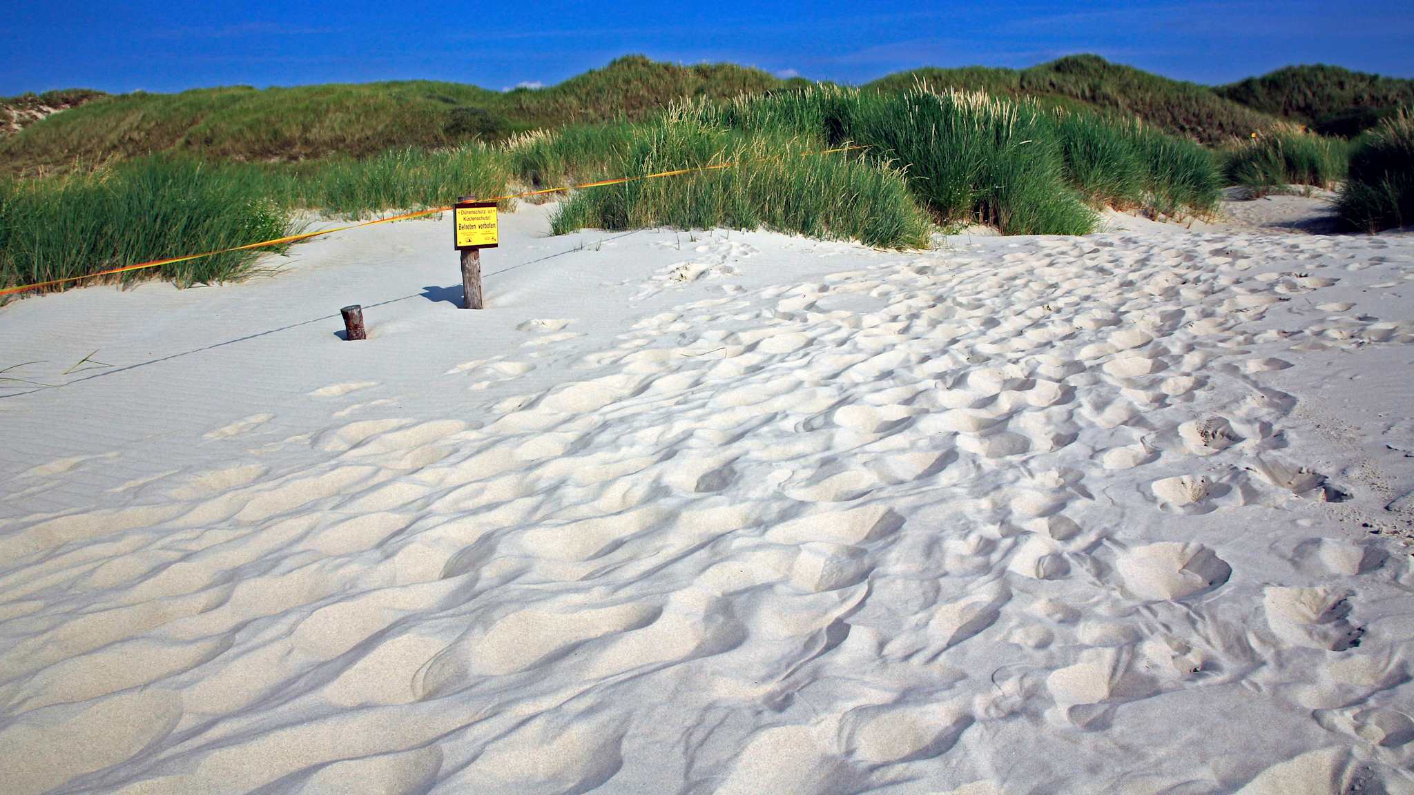 blocked dunes, St. Peter-Ording, North Frisia