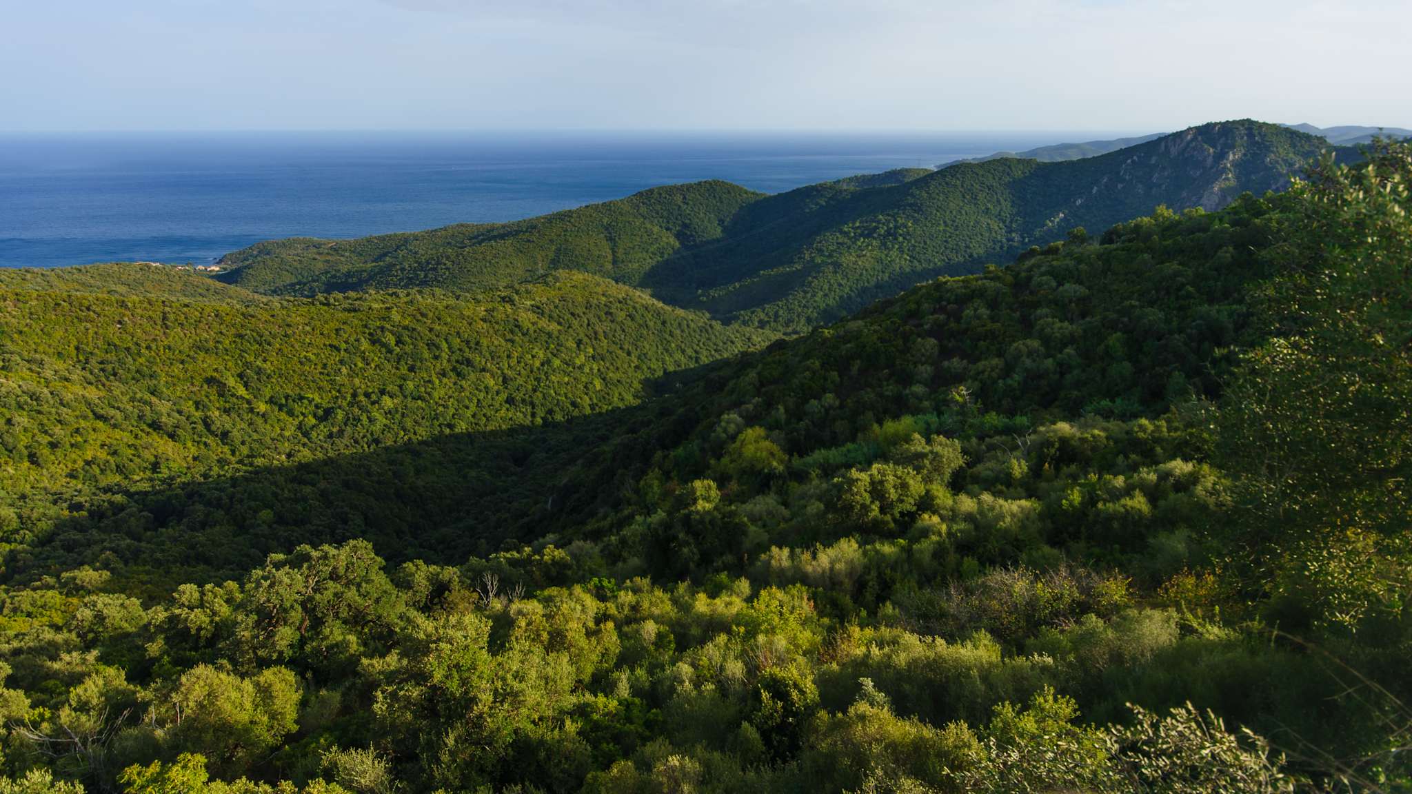 Sari-Solenzara, Korsika