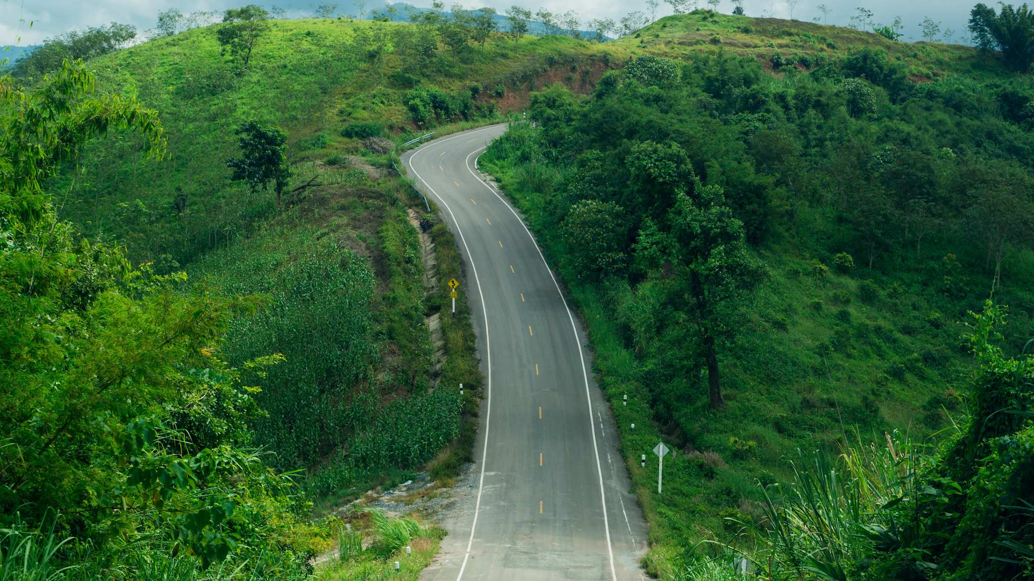 Autostraße die durch eine sehr begrünte Gegend verläuft © Shutterstock | Pipatpongchai