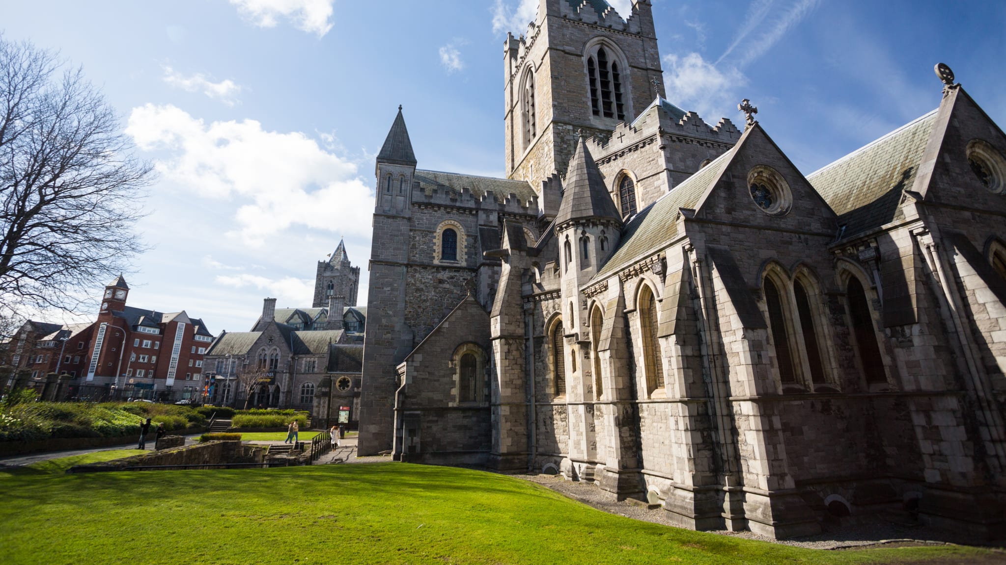 Christ Church Cathedral, Dublin, Leinster