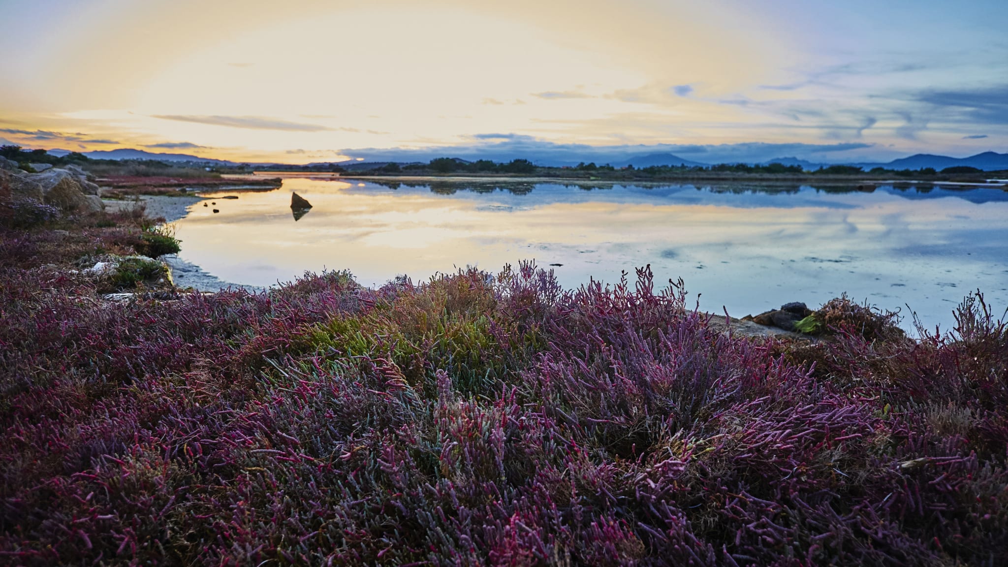 Murta Maria, Sardinien