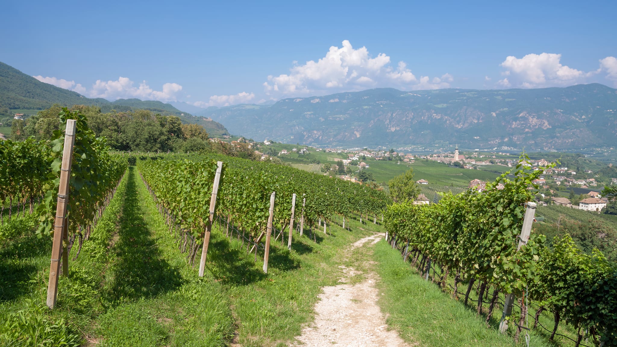 Wein-Dorf Eppan, Südtirol, Italien