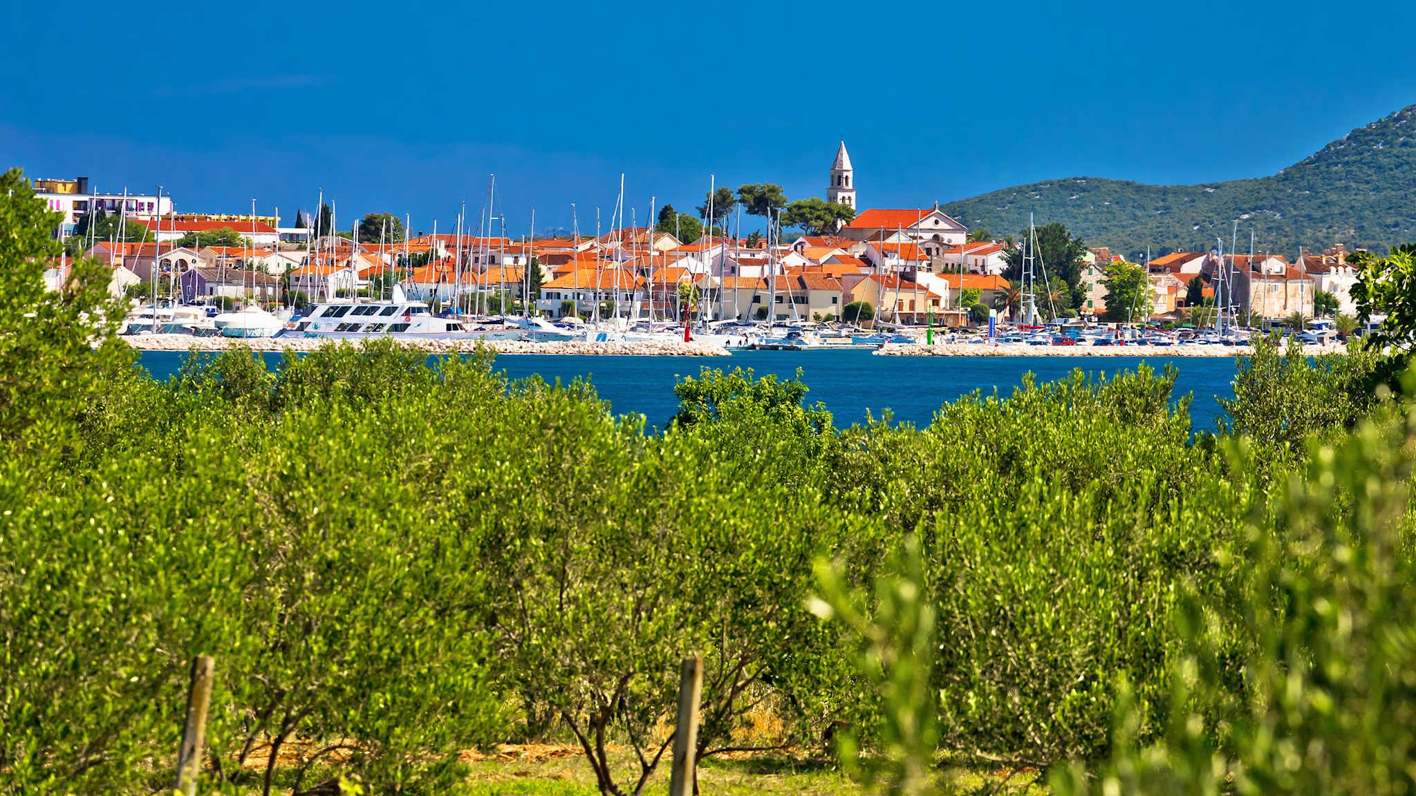 Biograd na Moru, Dalmatien, Kroatien