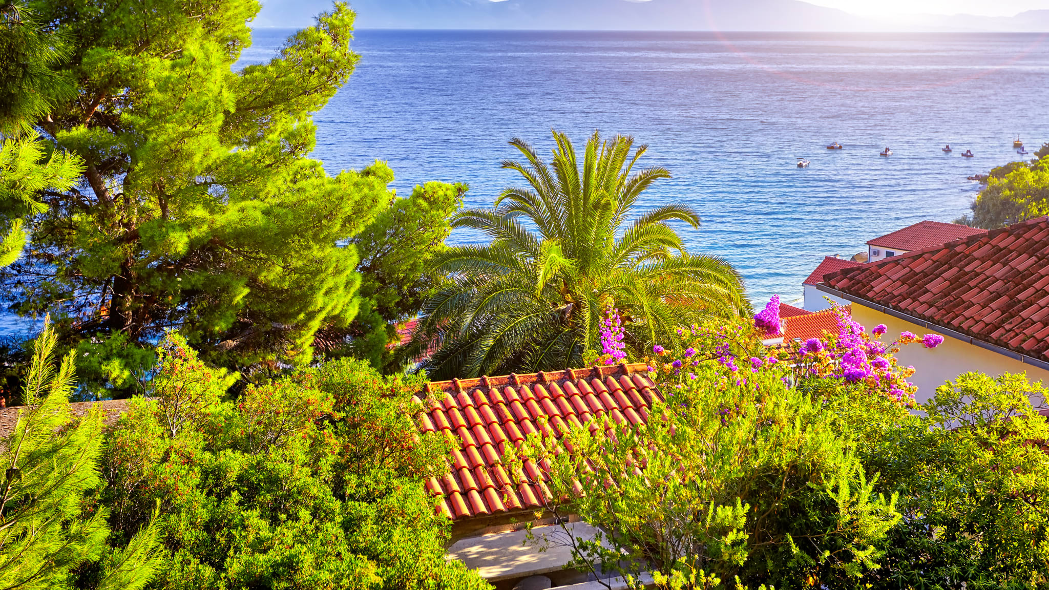 Dubrovnik, Dalmatien, Kroatien © Shutterstock - Ihor Pasternak