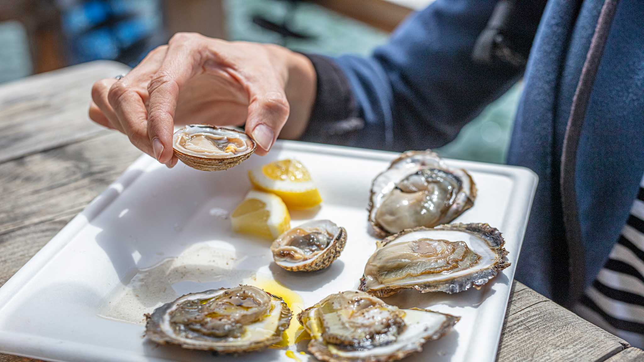 Frische Austern mit Zitrone © Kroatische Zentrale für Tourismus – Maja Danica Pecanic