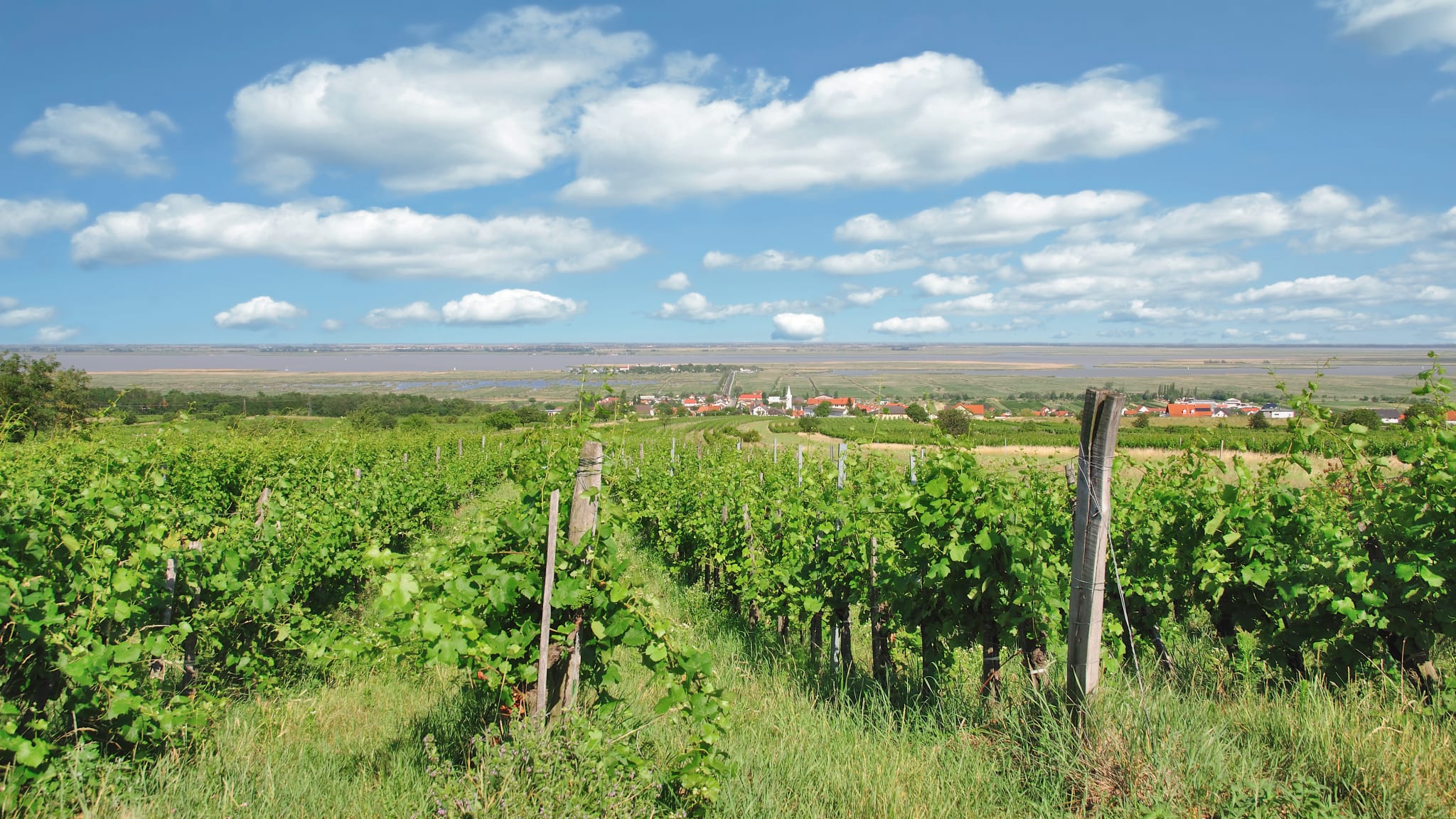 Mörbisch am See, Burgenland, Österreich