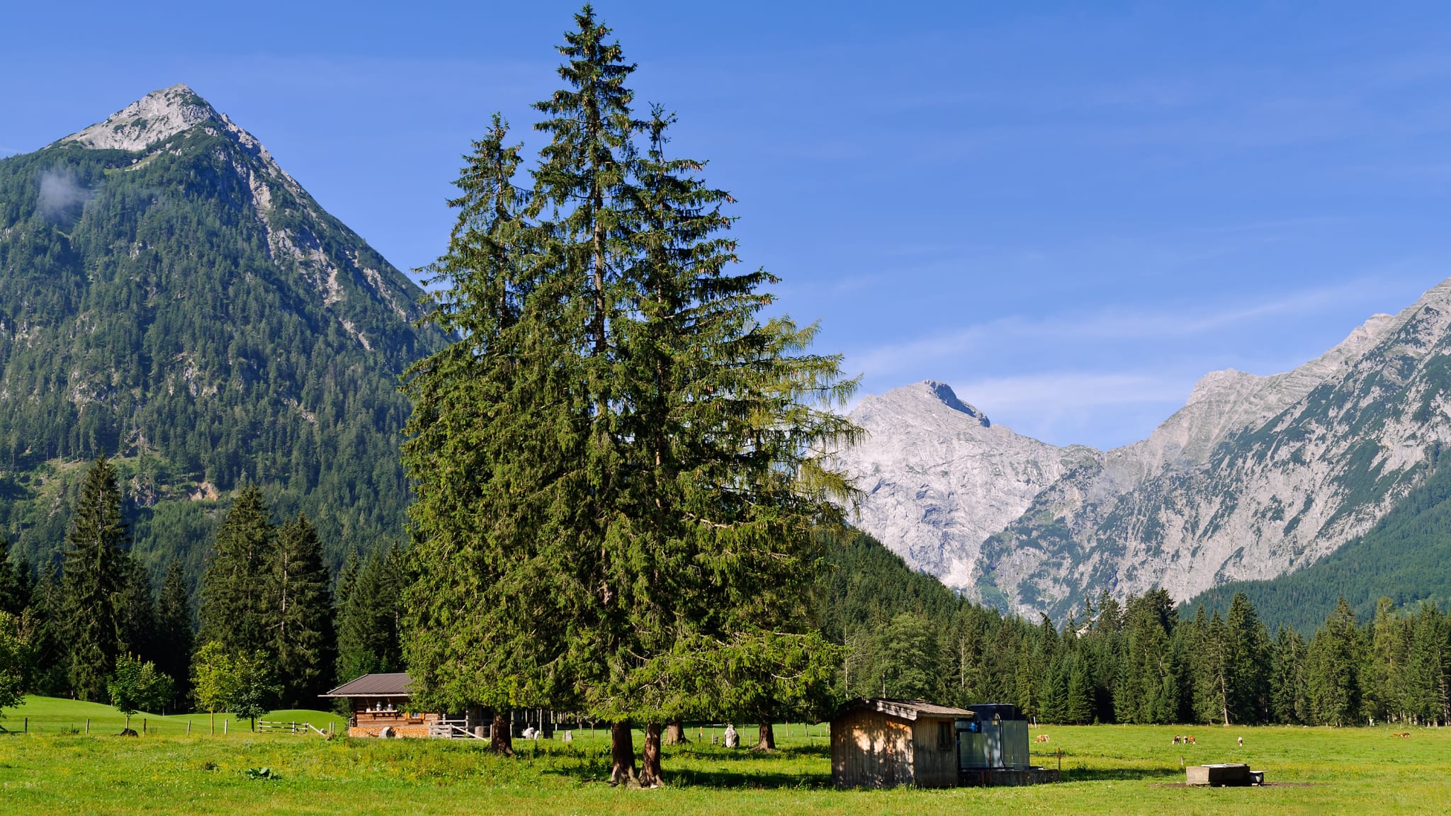 Eine kleine Hütte vor einem Gebirge