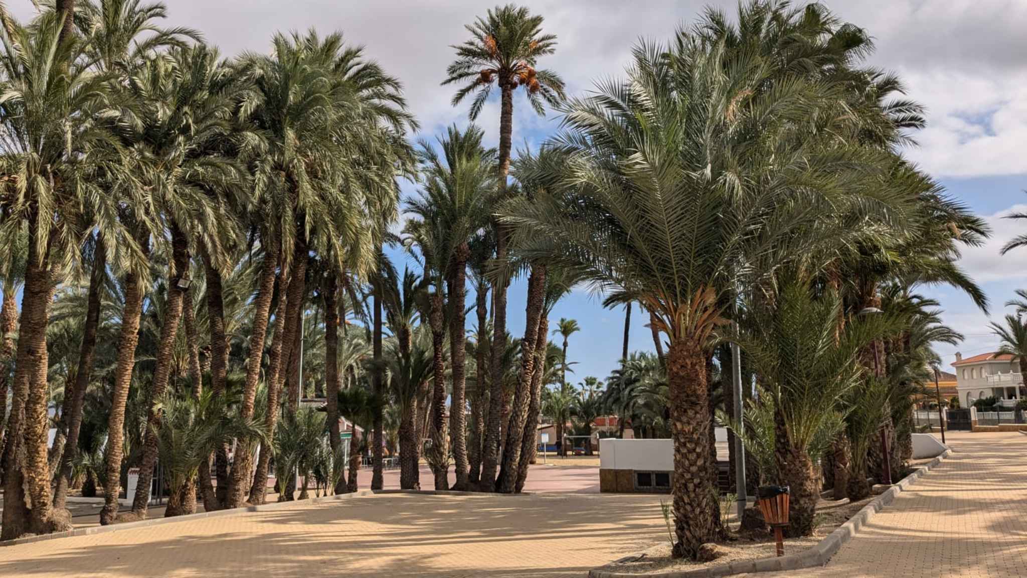 Elche, Spanien