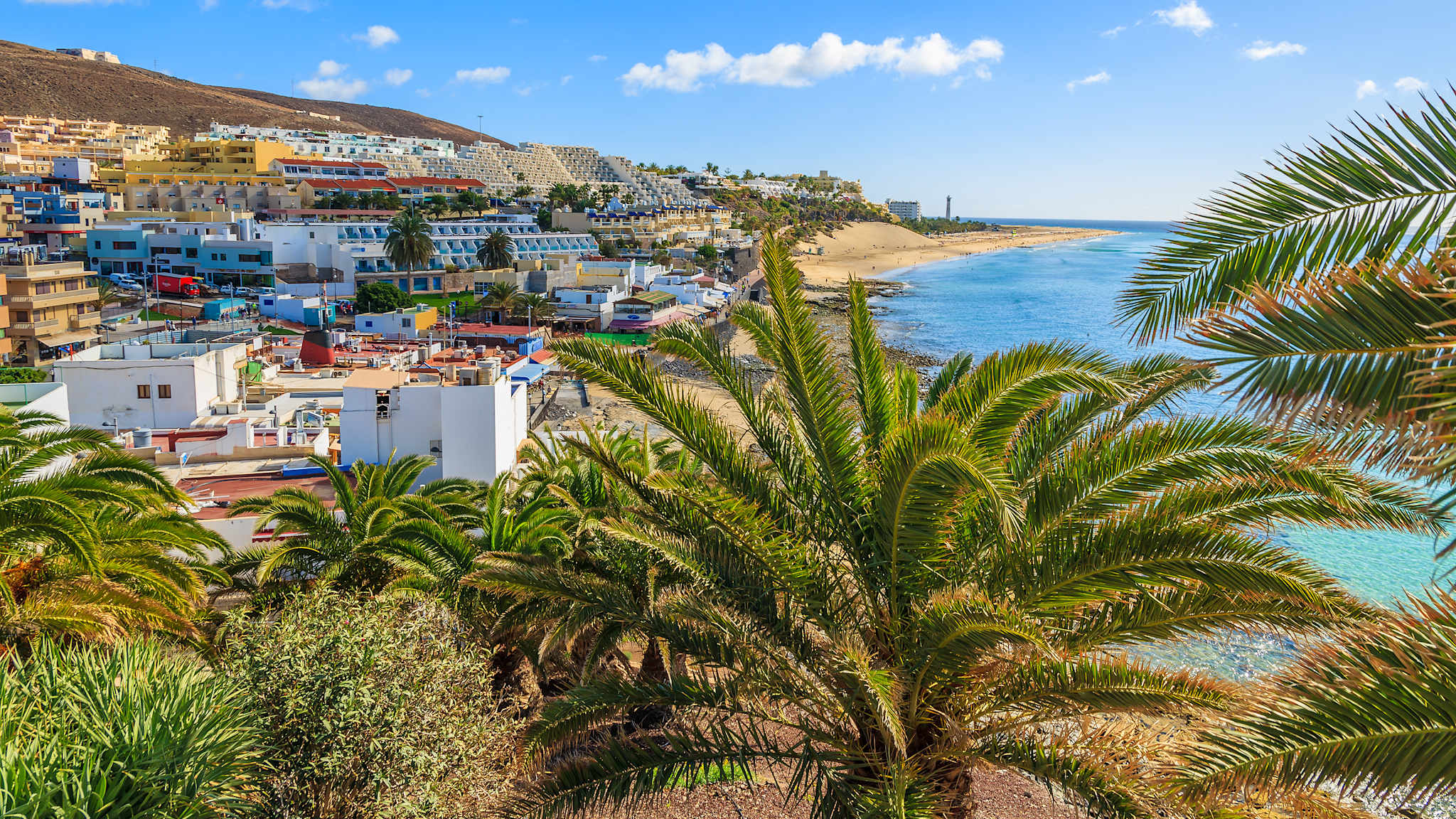 Blick durch Palmen auf einen Strand und Häusern
