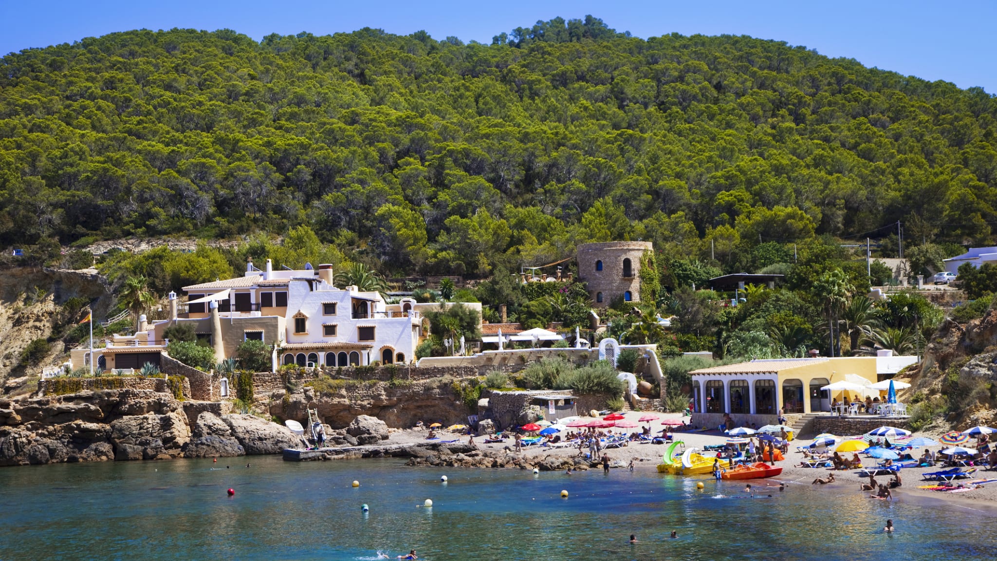 Blick auf einen Strand mit Wald im Hintergrund