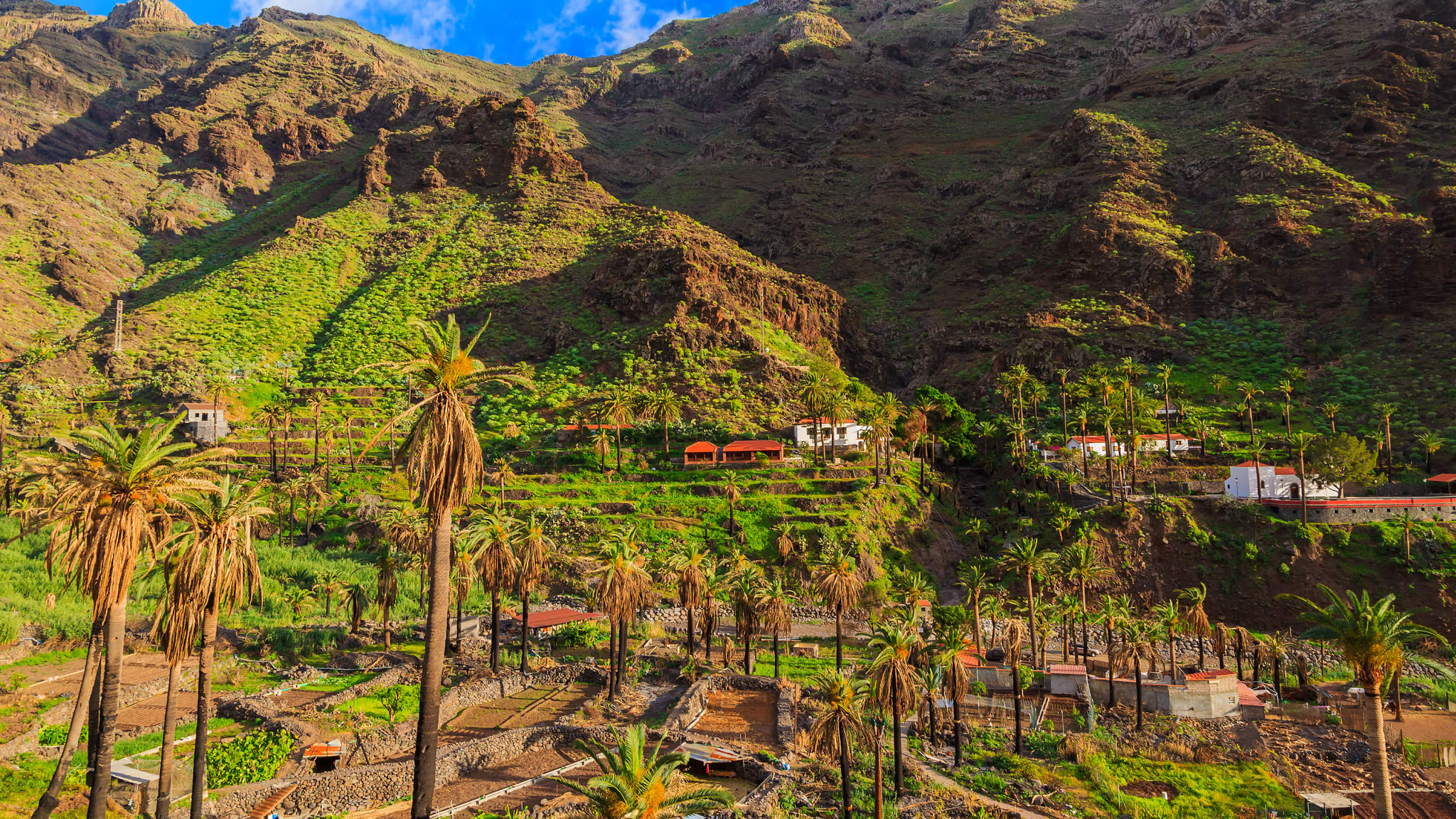 Valle Gran Rey, La Gomera