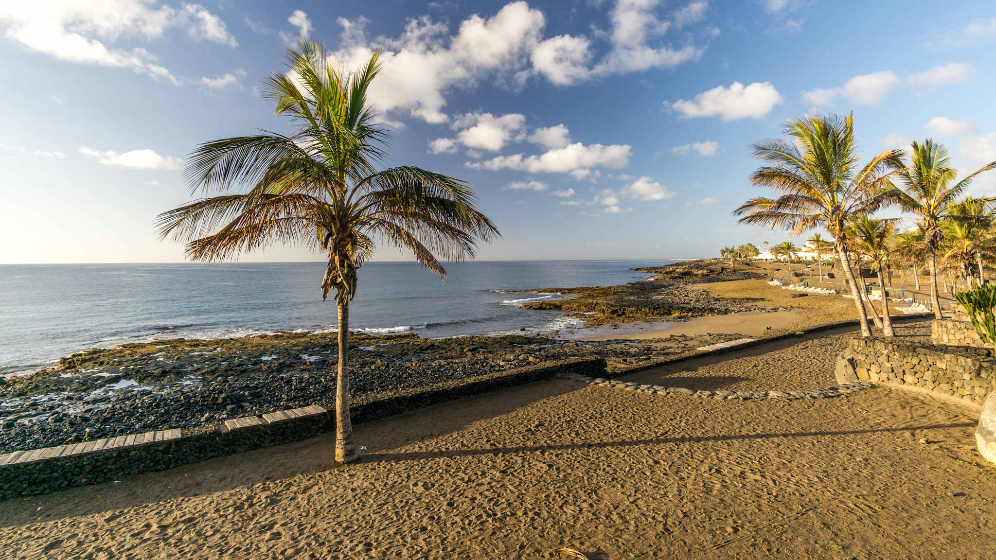 Palm Tree On Beach Against Sky