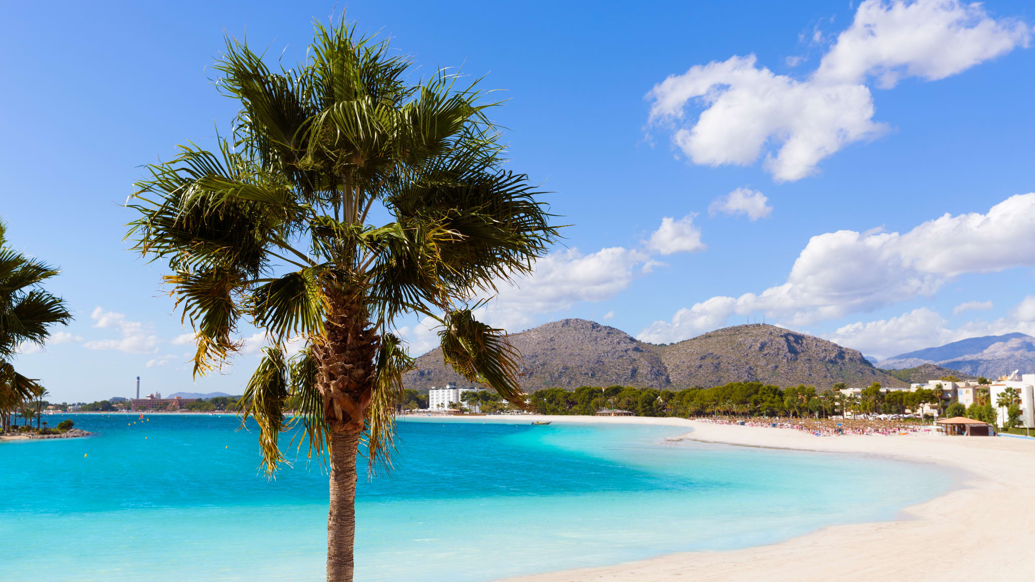 Strand Alcudia, Mallorca © Shutterstock - lunamarina