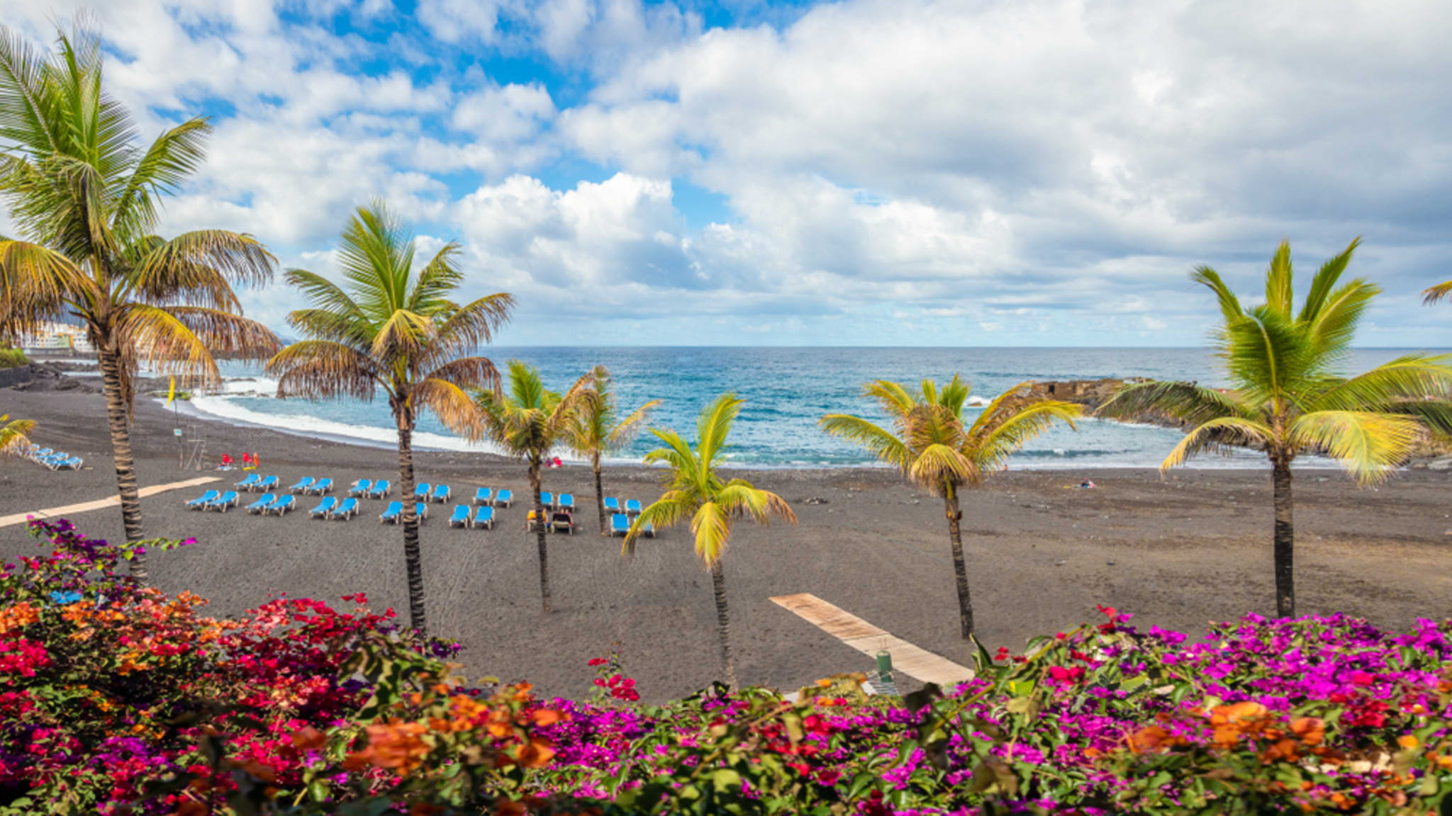 Palmen am Playa Jardin auf Teneriffa