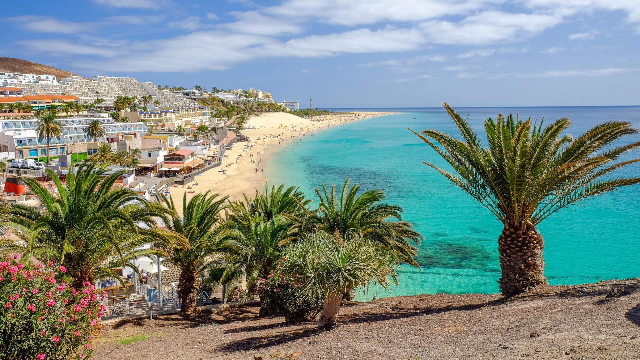 Playa del Matorral, Fuerteventura, Spanien © shutterstock.com - Elena Krivorotova