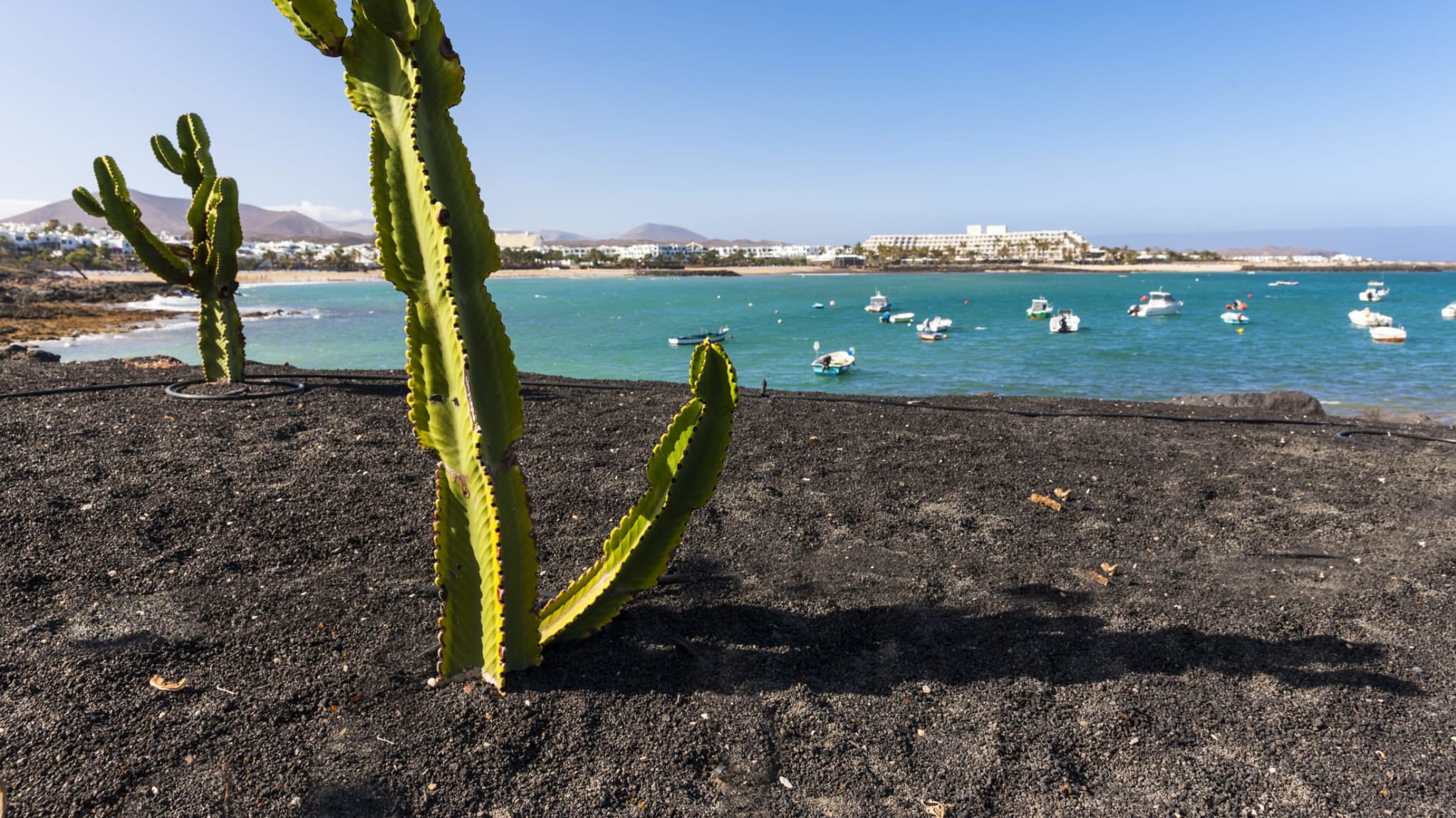 Strand, Costa Teguise, Lanzarote