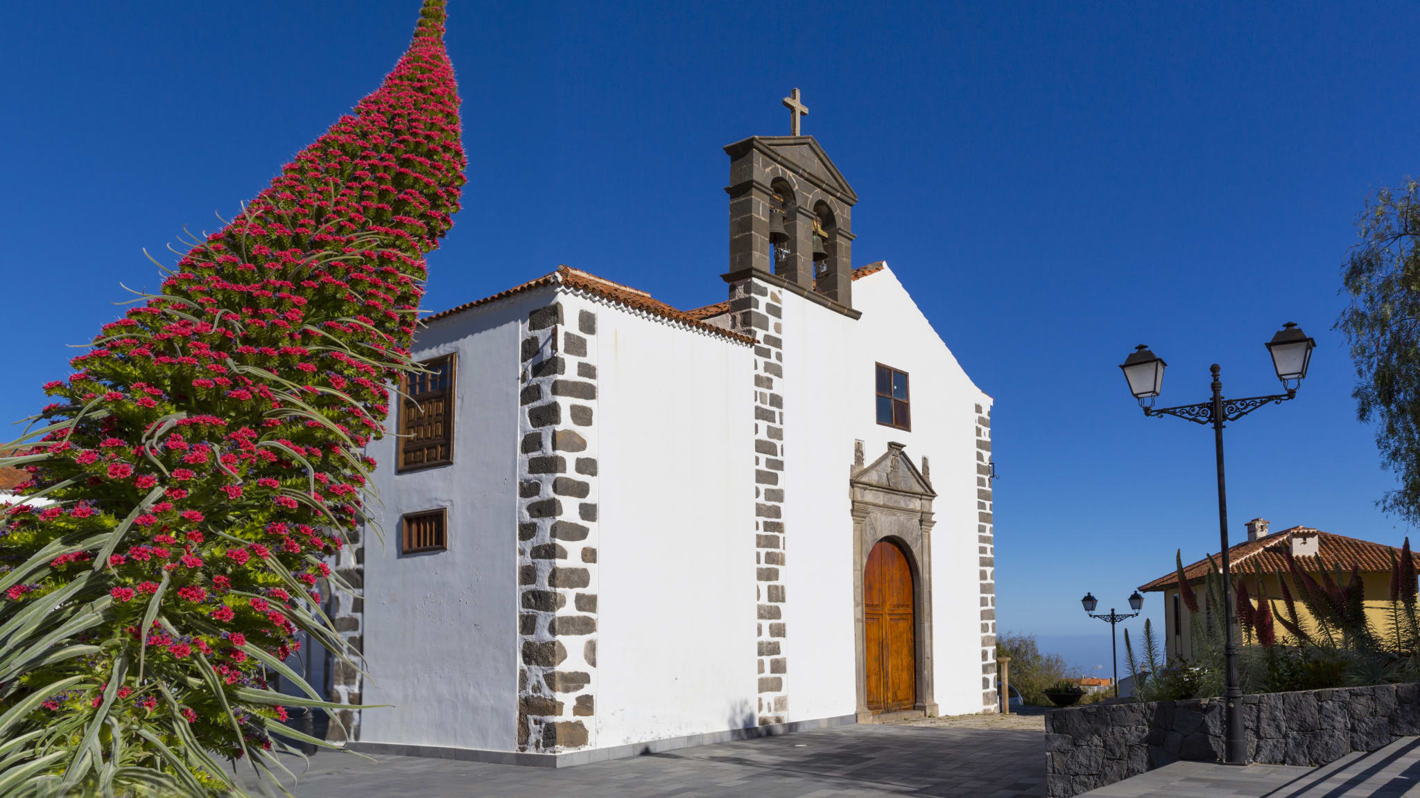 Spain, Canary Islands, Tenerife, Vilaflor, view to San Pedro with blossom of Echium Wildpretii in the foreground