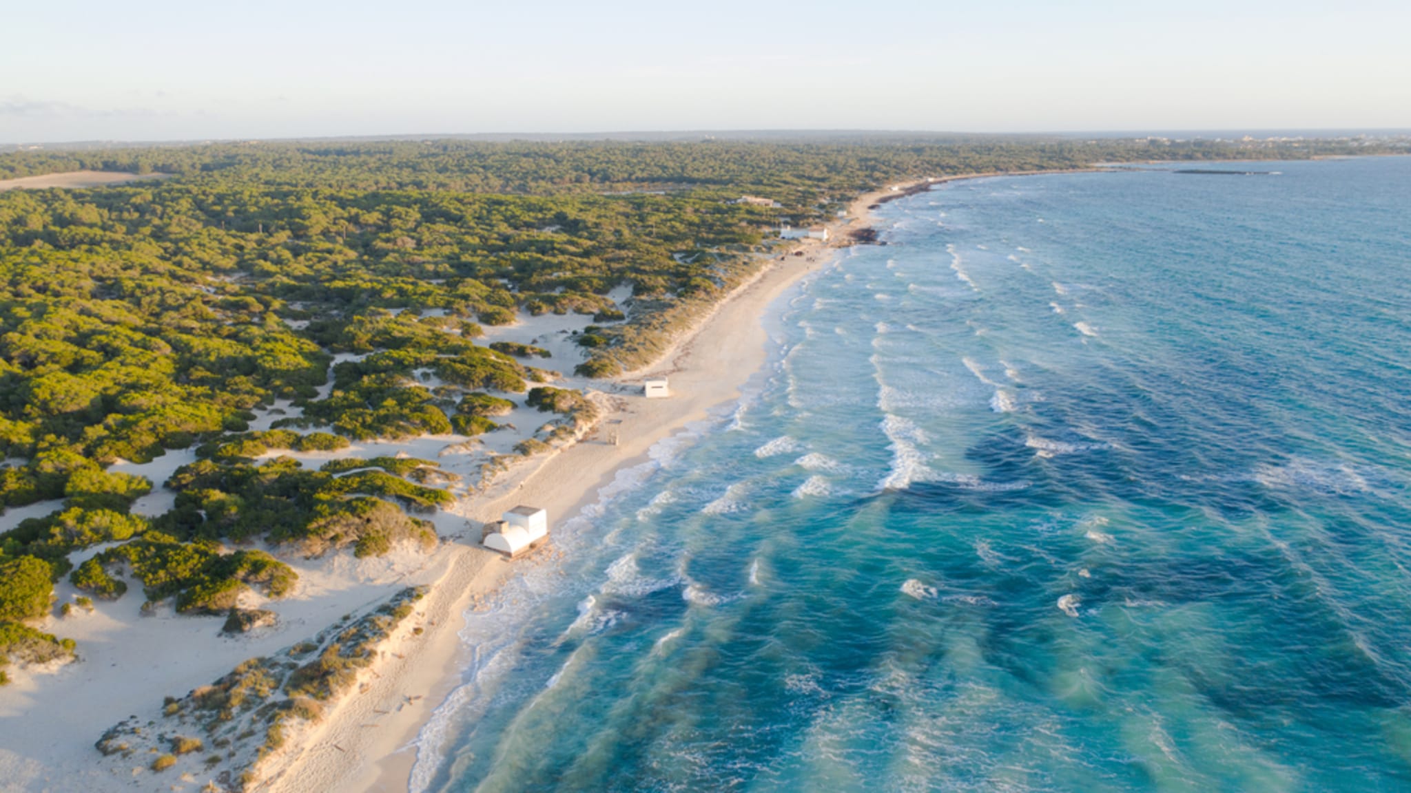 Vogelperspektive des Strandes Es Trenc auf Mallorca © Shutterstock.com - KadiProduction