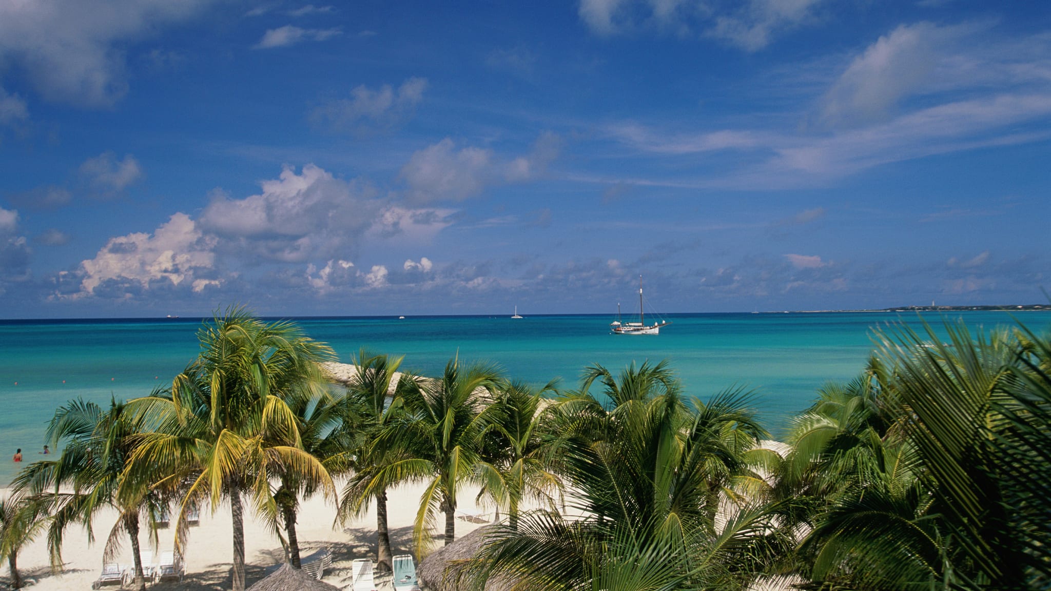 Palm trees on the beach, Palm Beach, Aruba © GettyImages