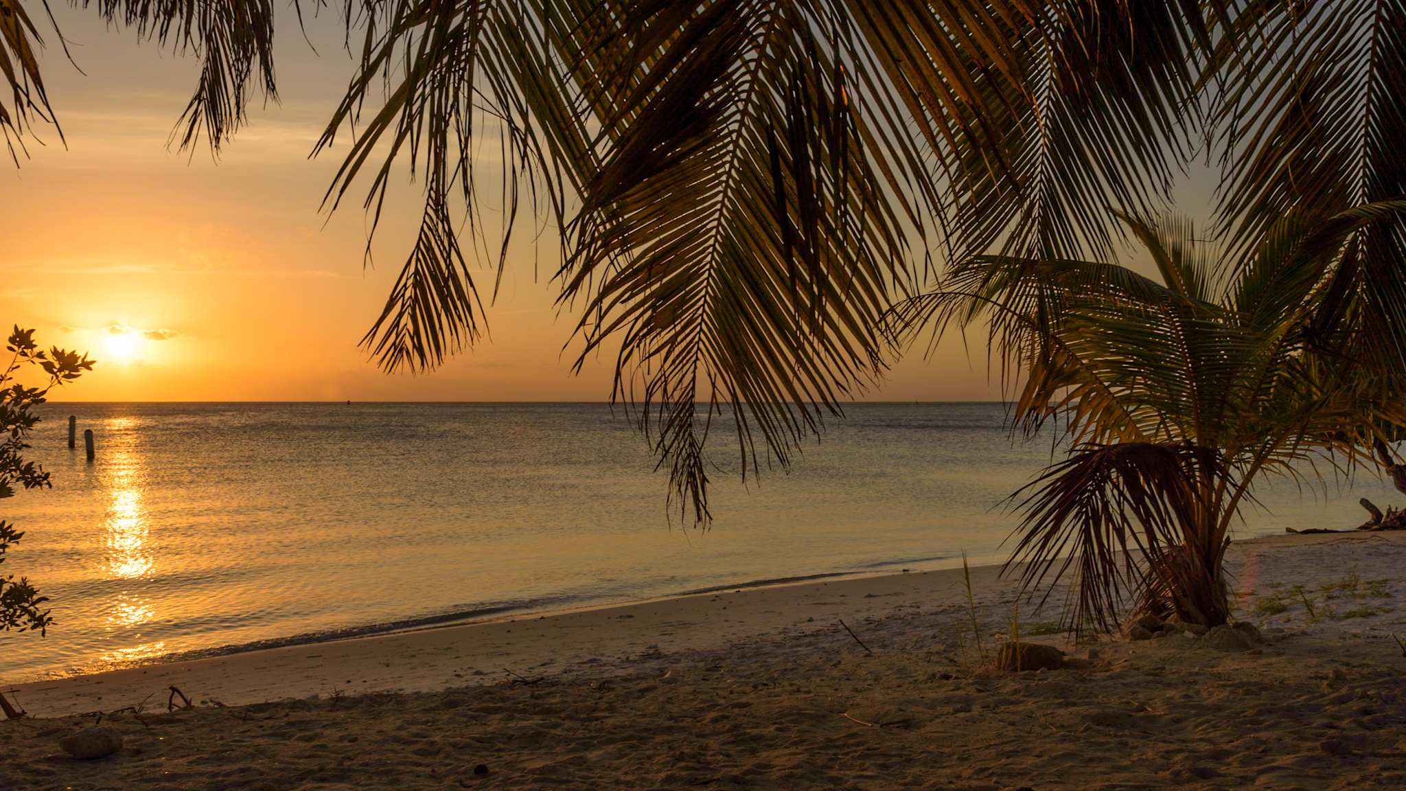 Surfside Strand bei Sonnenuntergang auf Aruba © Shutterstock