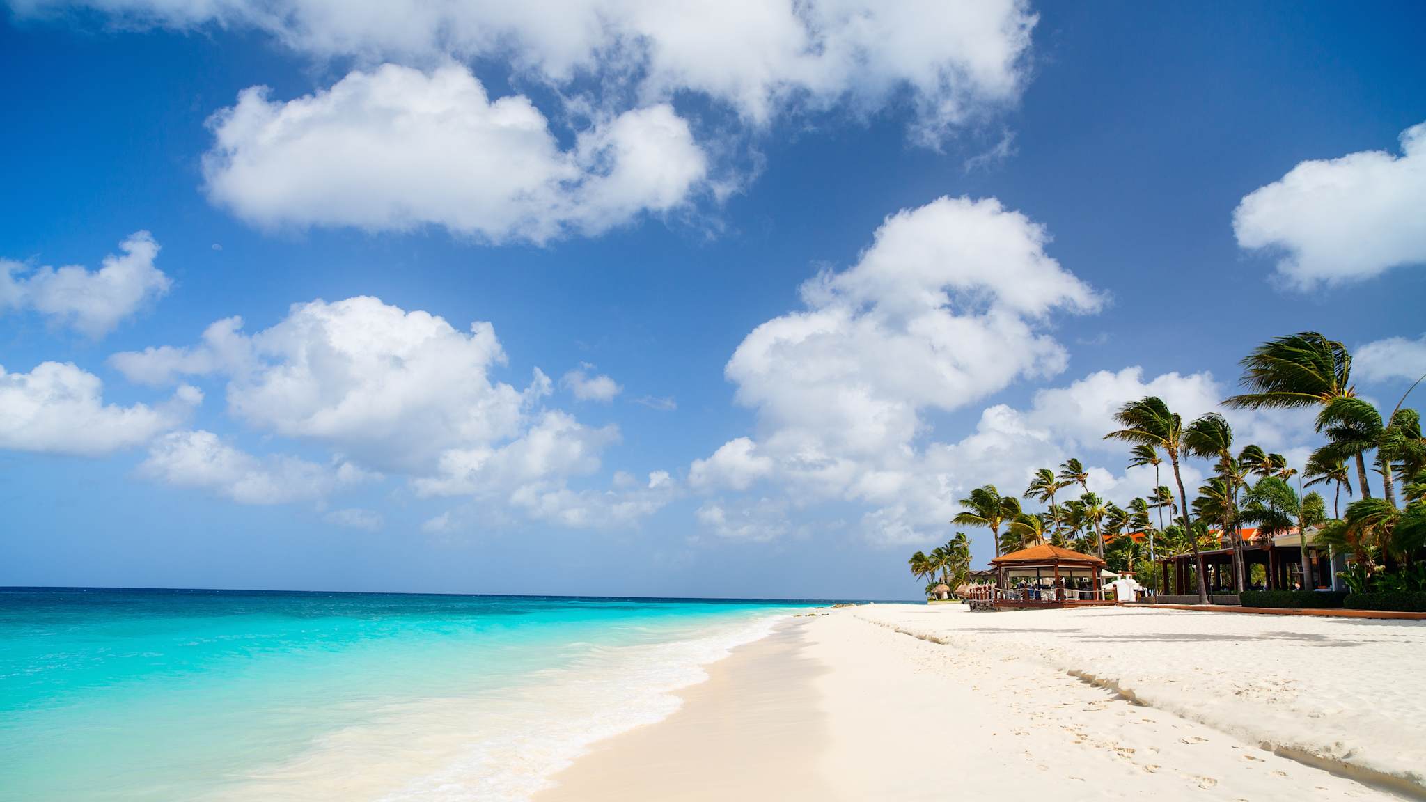Weißer Sandstrand mit Palmen auf Aruba, Karibik © Shutterstock