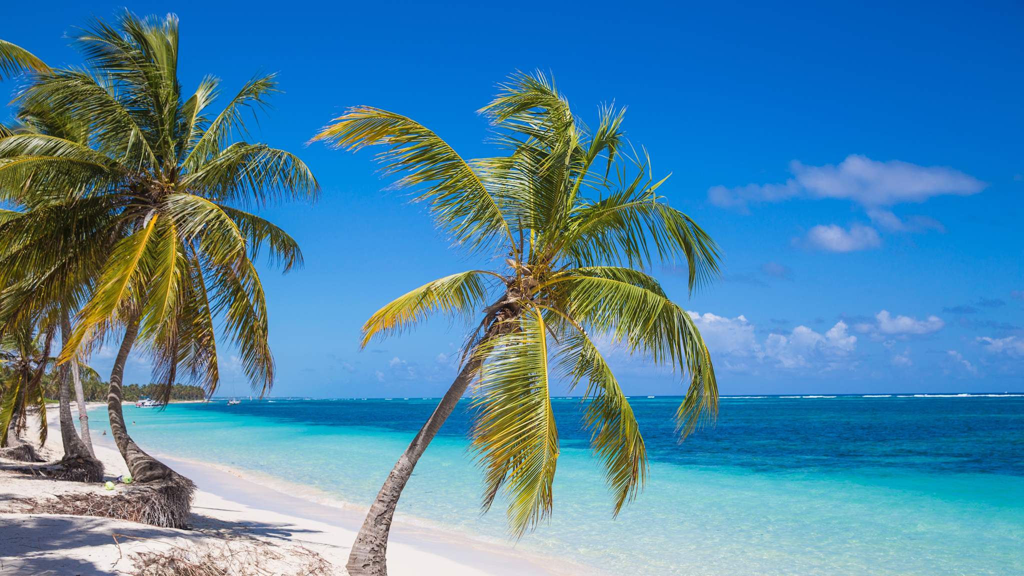 Playa Cabeza de Toro, Punta Cana, Dominikanische Republik © Shutterstock