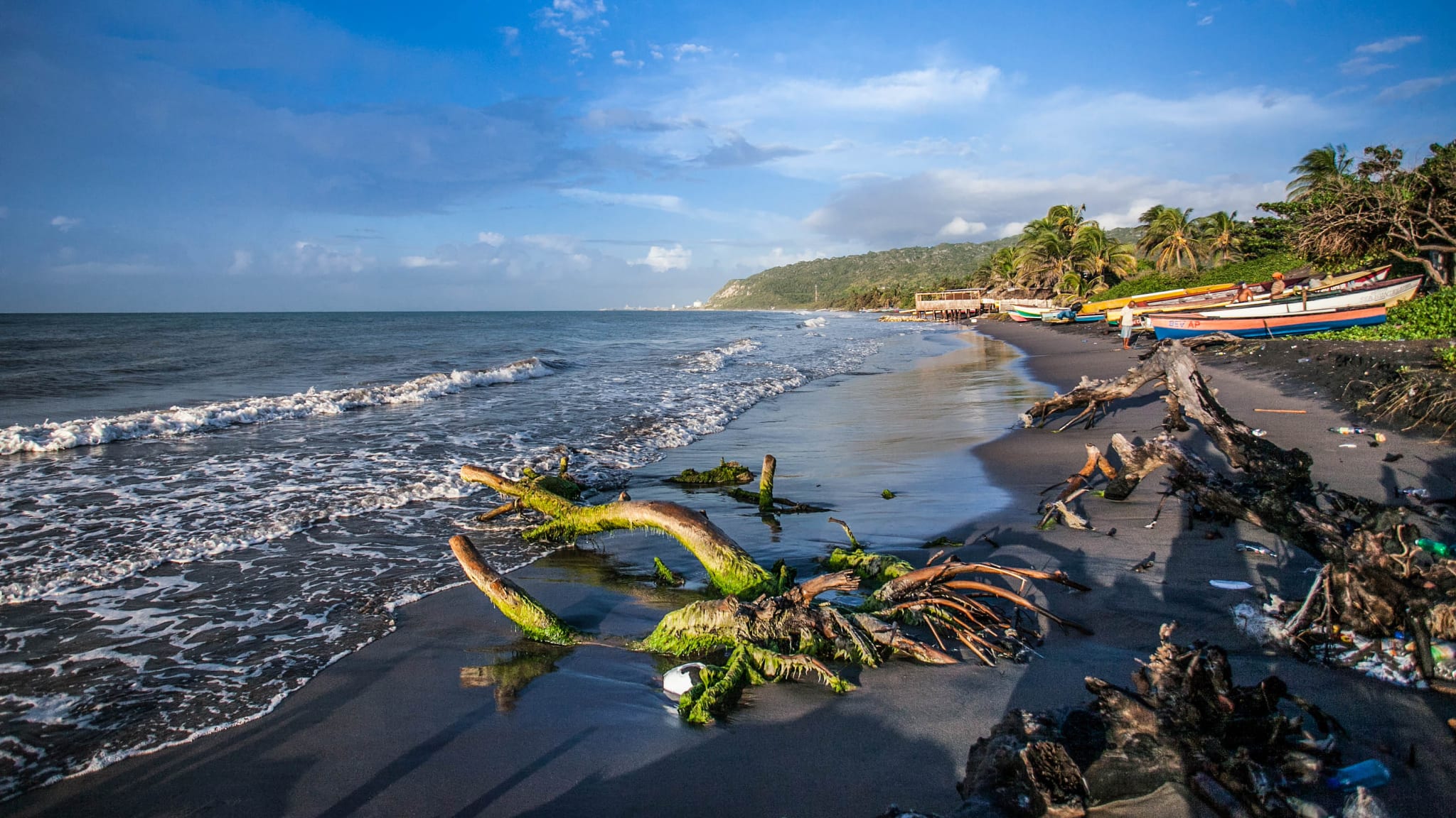 Ein Strand mit Palmen und Booten