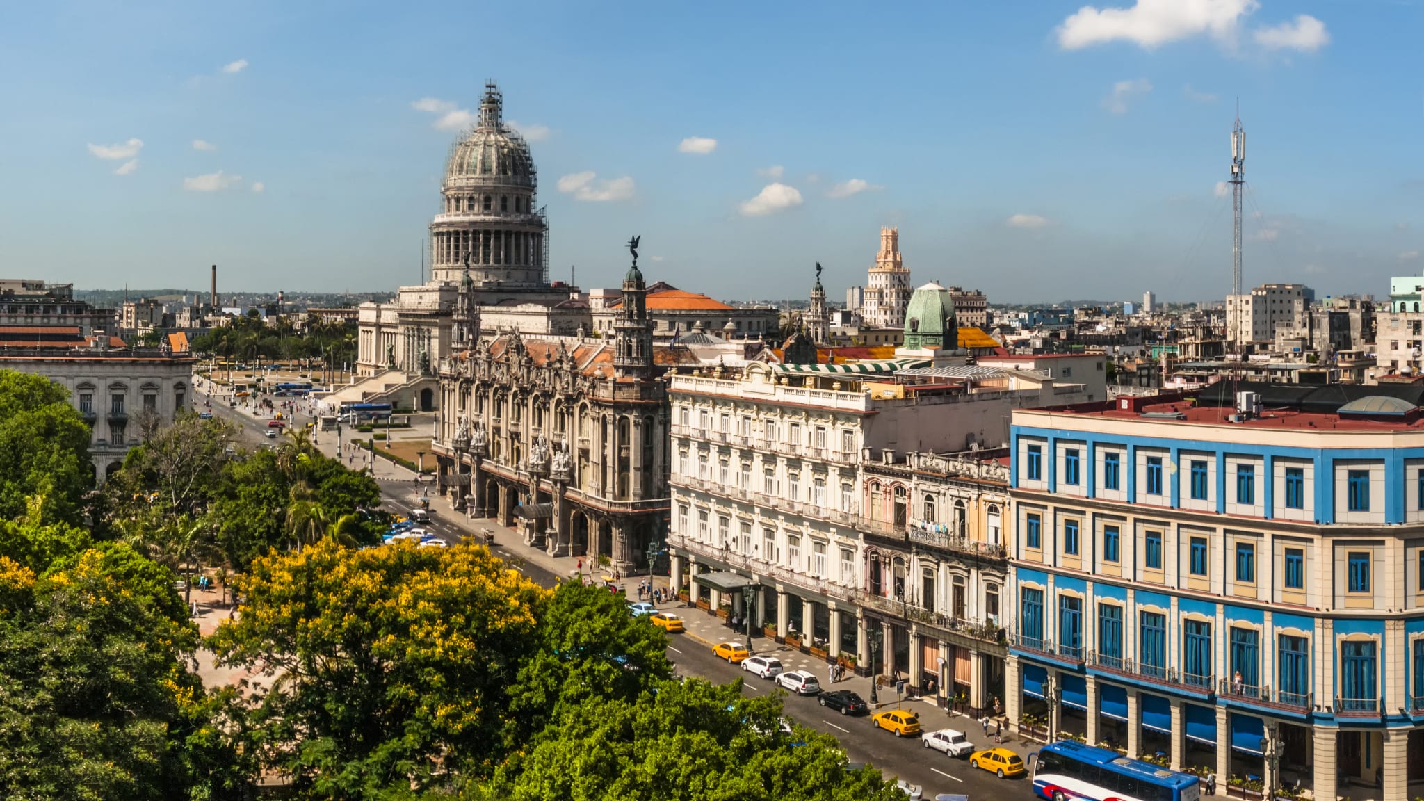 Häuserzeile in der Stadt. Im Vordergrund ist ein Park.