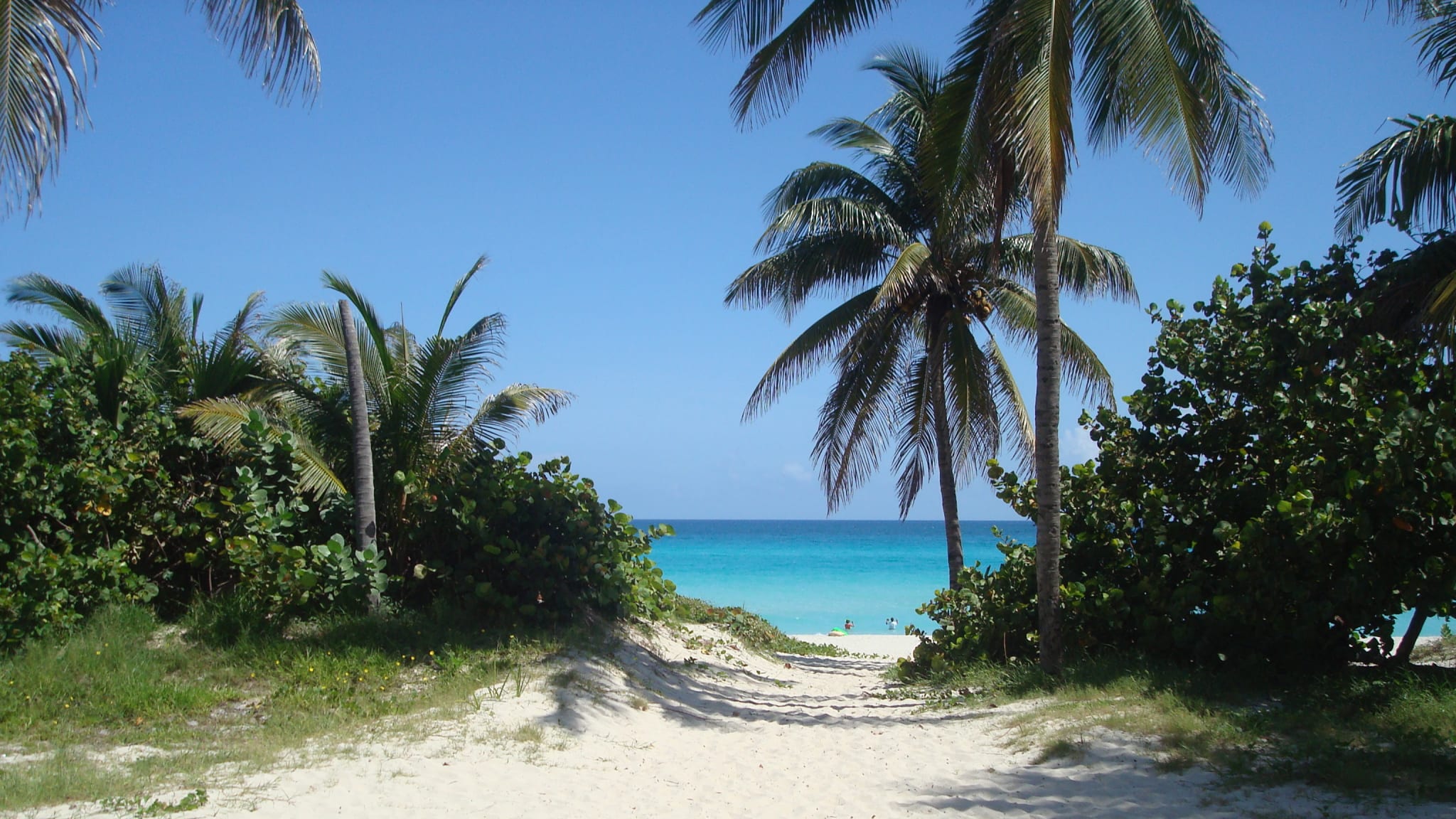 Scenic View Of Sand Against Sea