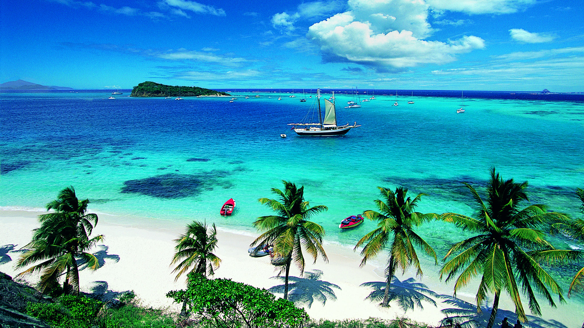 Grenadine, Tobago, West Indies