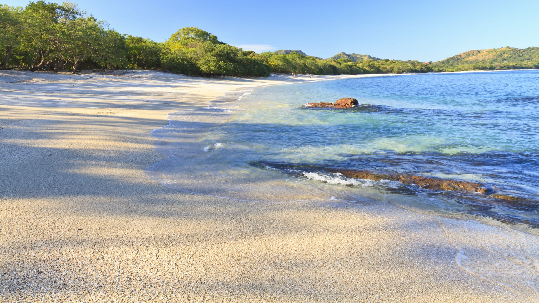 Ein leerer Strand mit Bäumen im Hintergrund