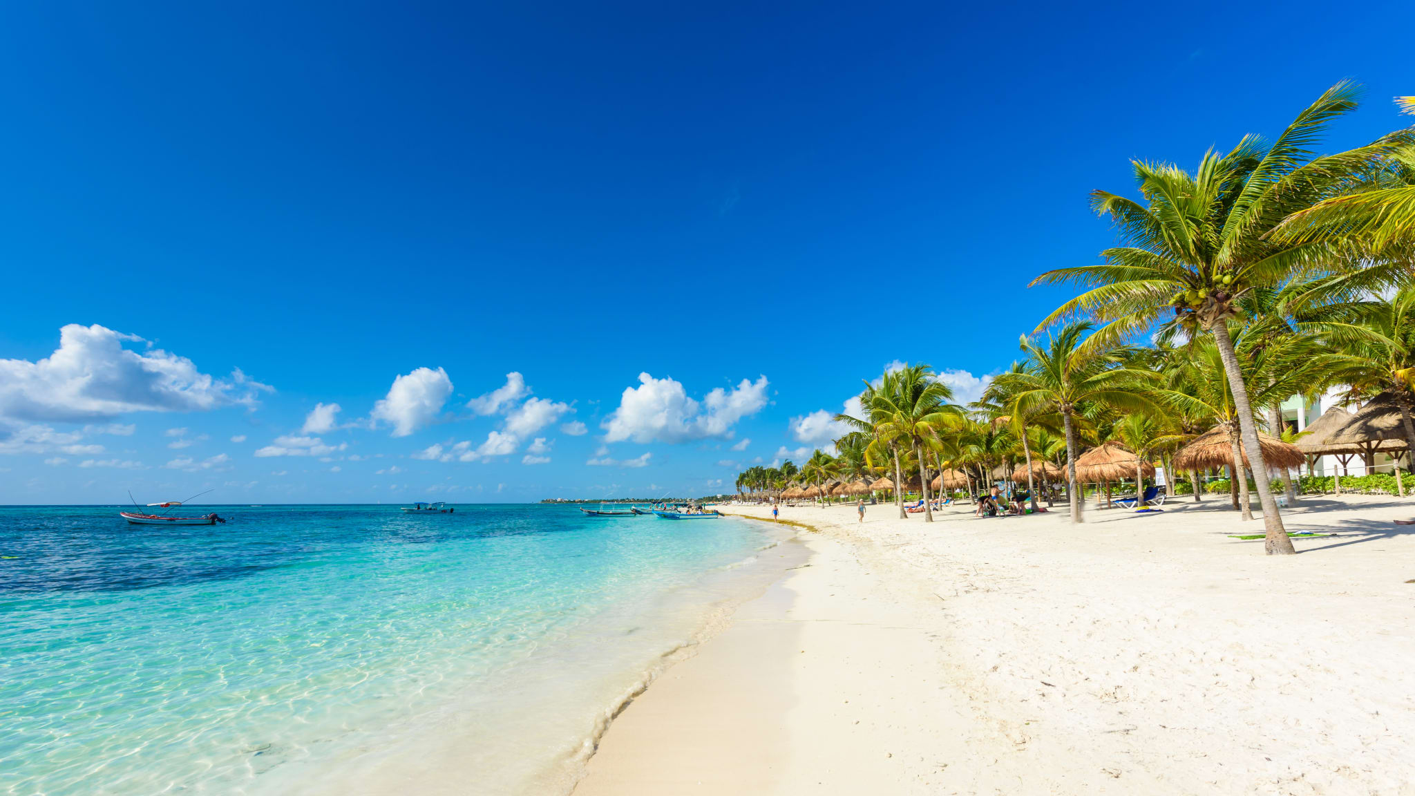 Akumal beach - paradise bay Beach in Quintana Roo, Mexico - caribbean coast