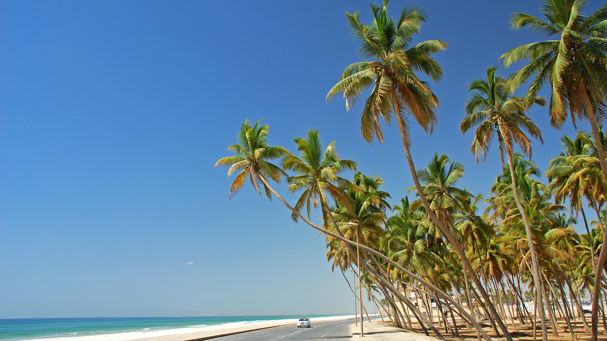 Küste Salala, Dhofar