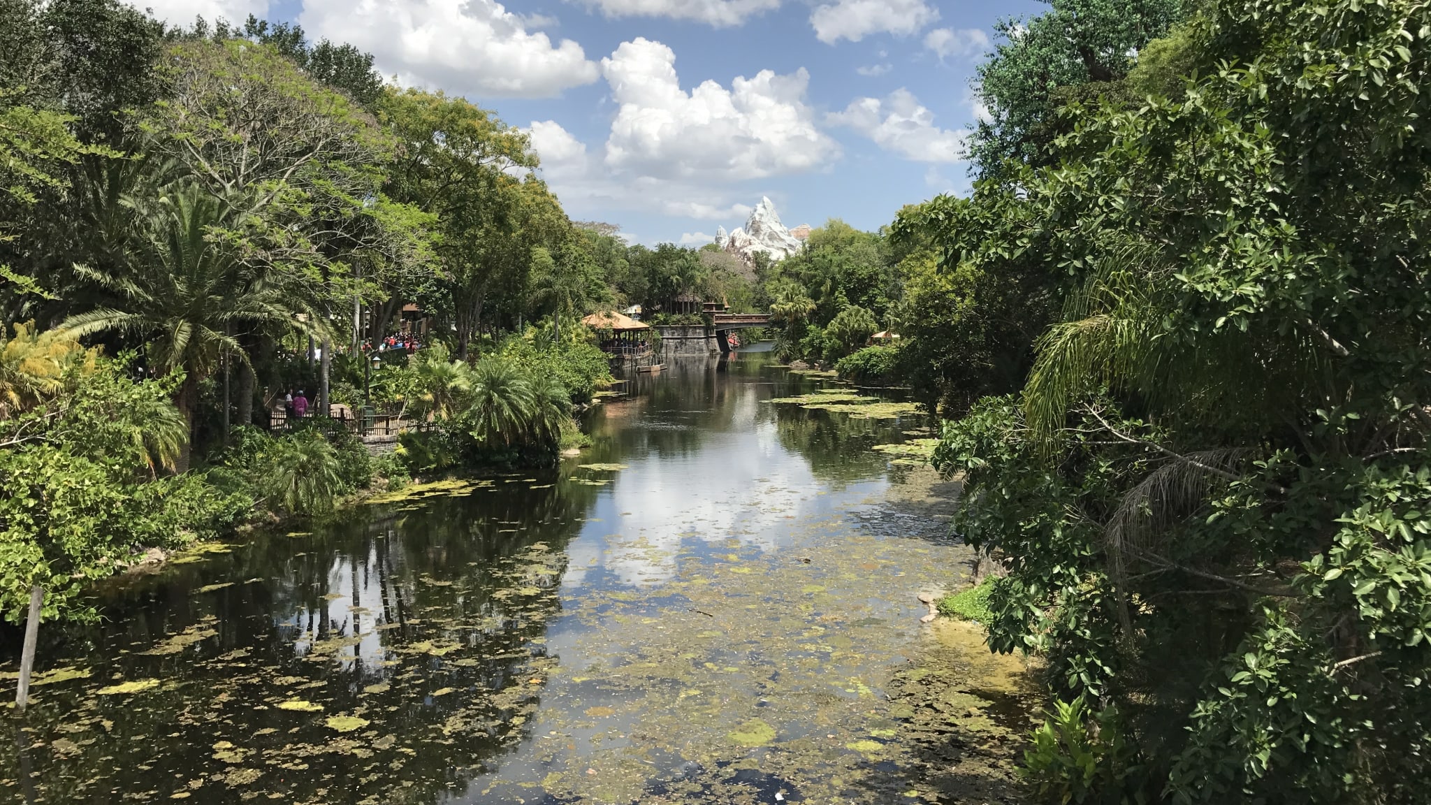 Disney's Animal Kingdom, Kissimmee, Florida